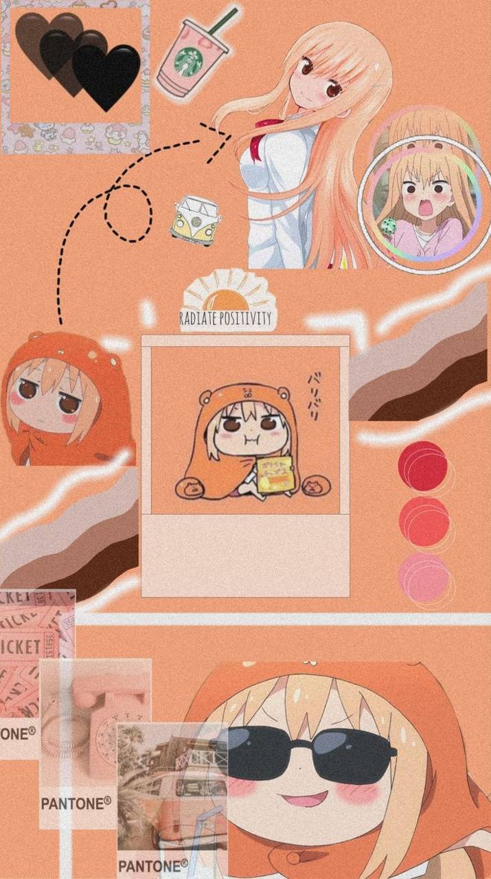 Download Umaru Chan Donuts Wallpaper HD
