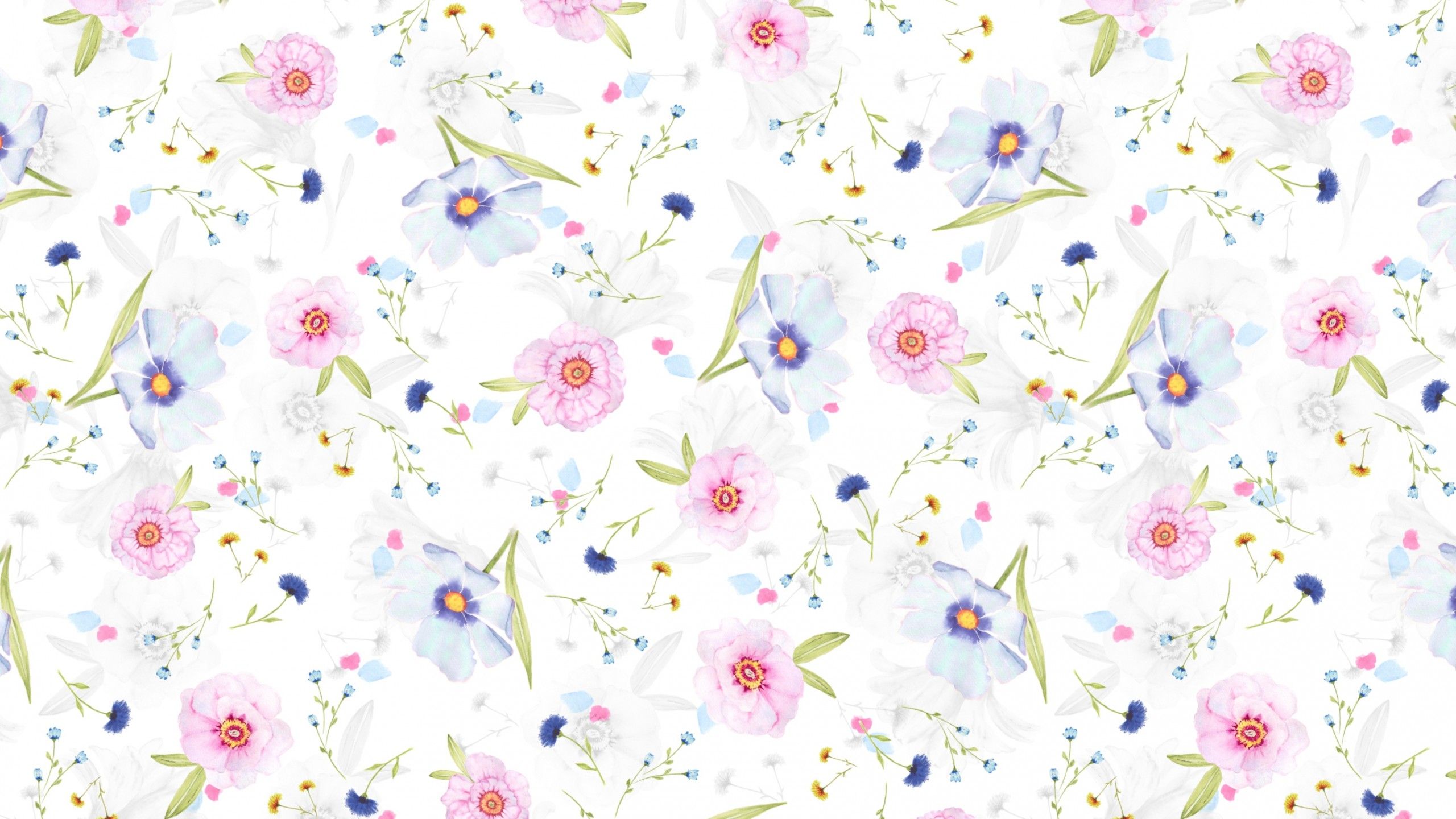 Floral designs 4K Wallpaper, White background, Flower patterns, Girly background, Floral, Flowers