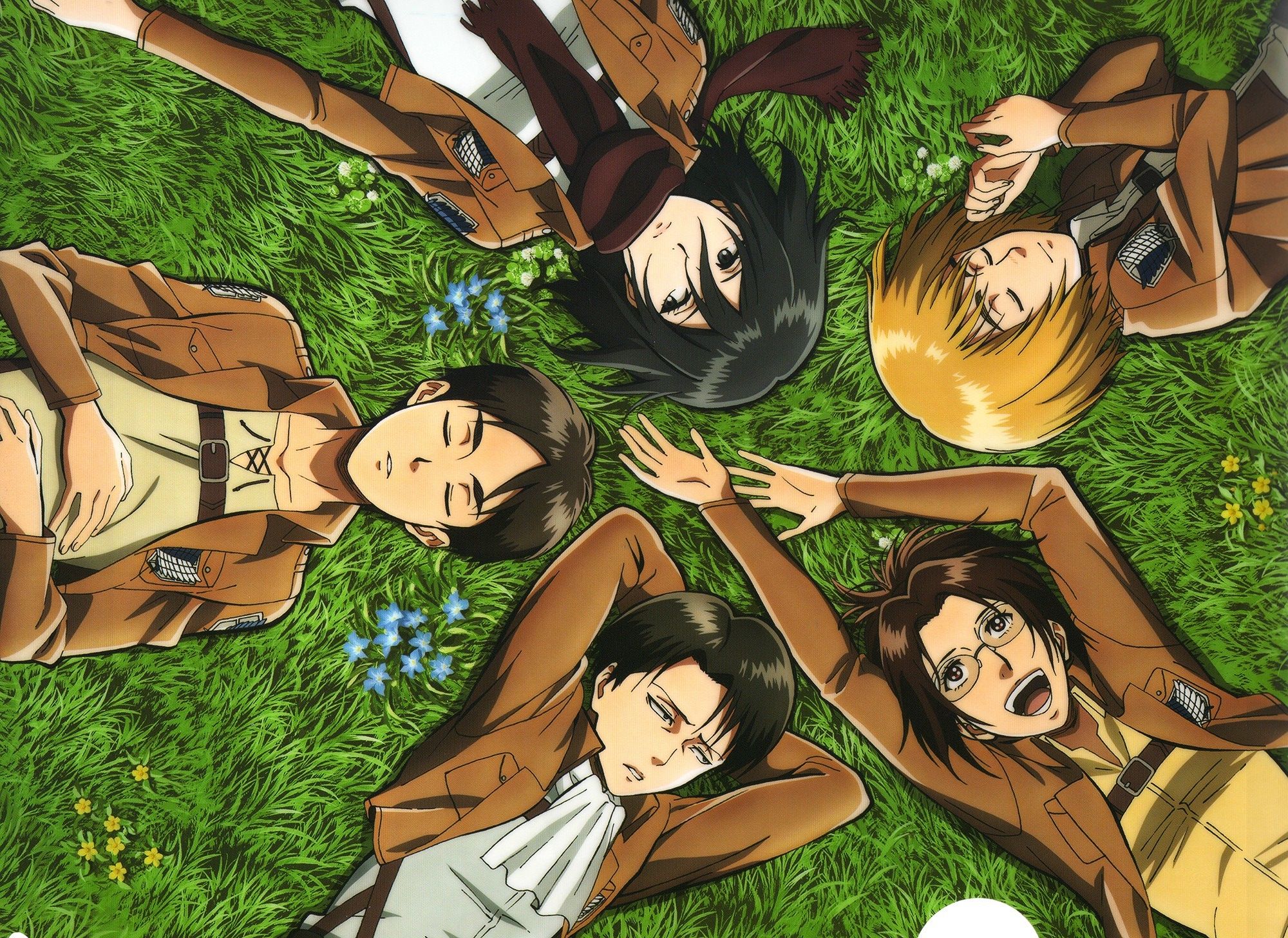 Armin Arlert Eren Yeager Hange Zoe Levi Ackerman Mikasa Ackerman Wallpaper:2000x1456