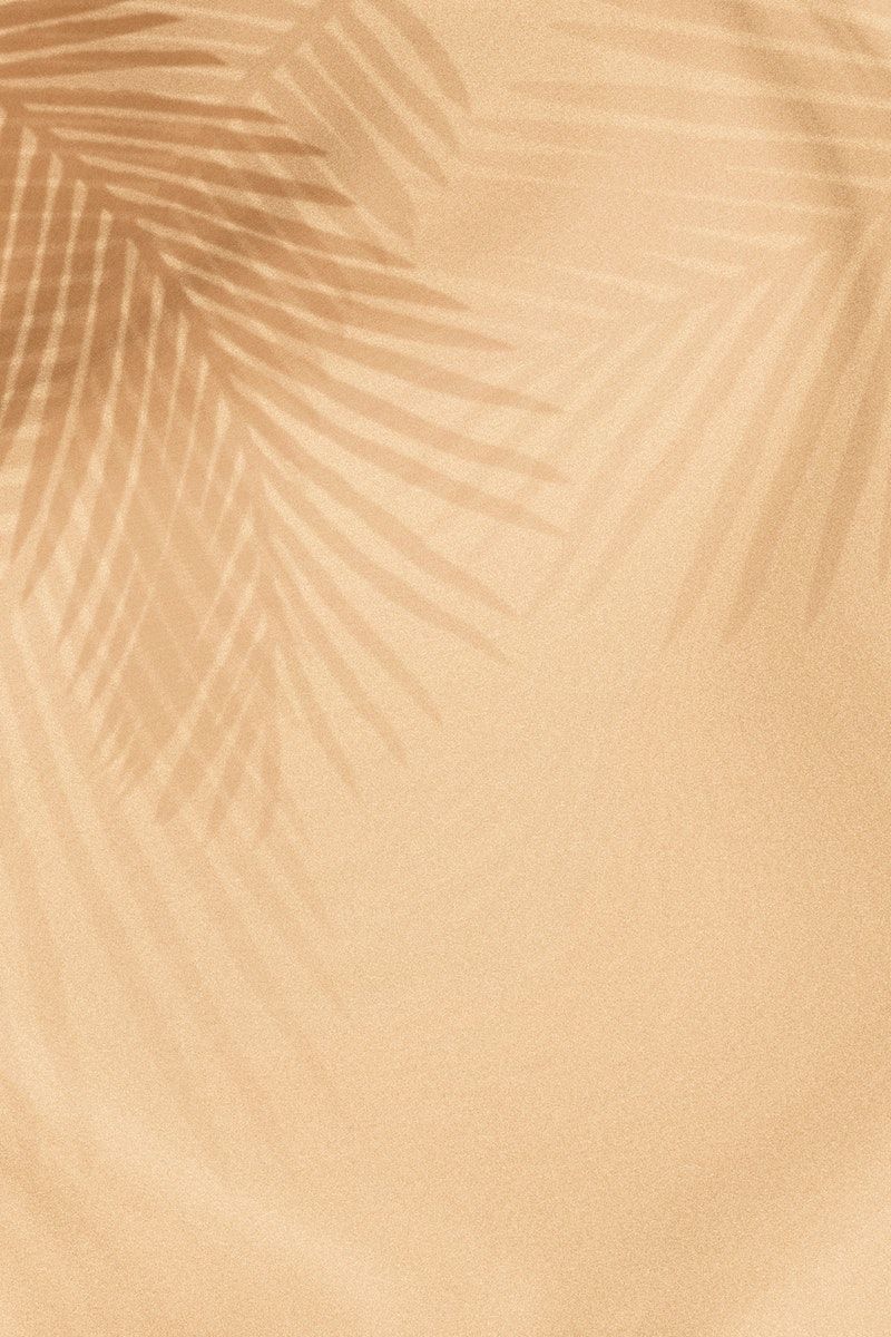 Palm leaves shadow on a beige background. free image / sasi. Beige background, Summer background, Background