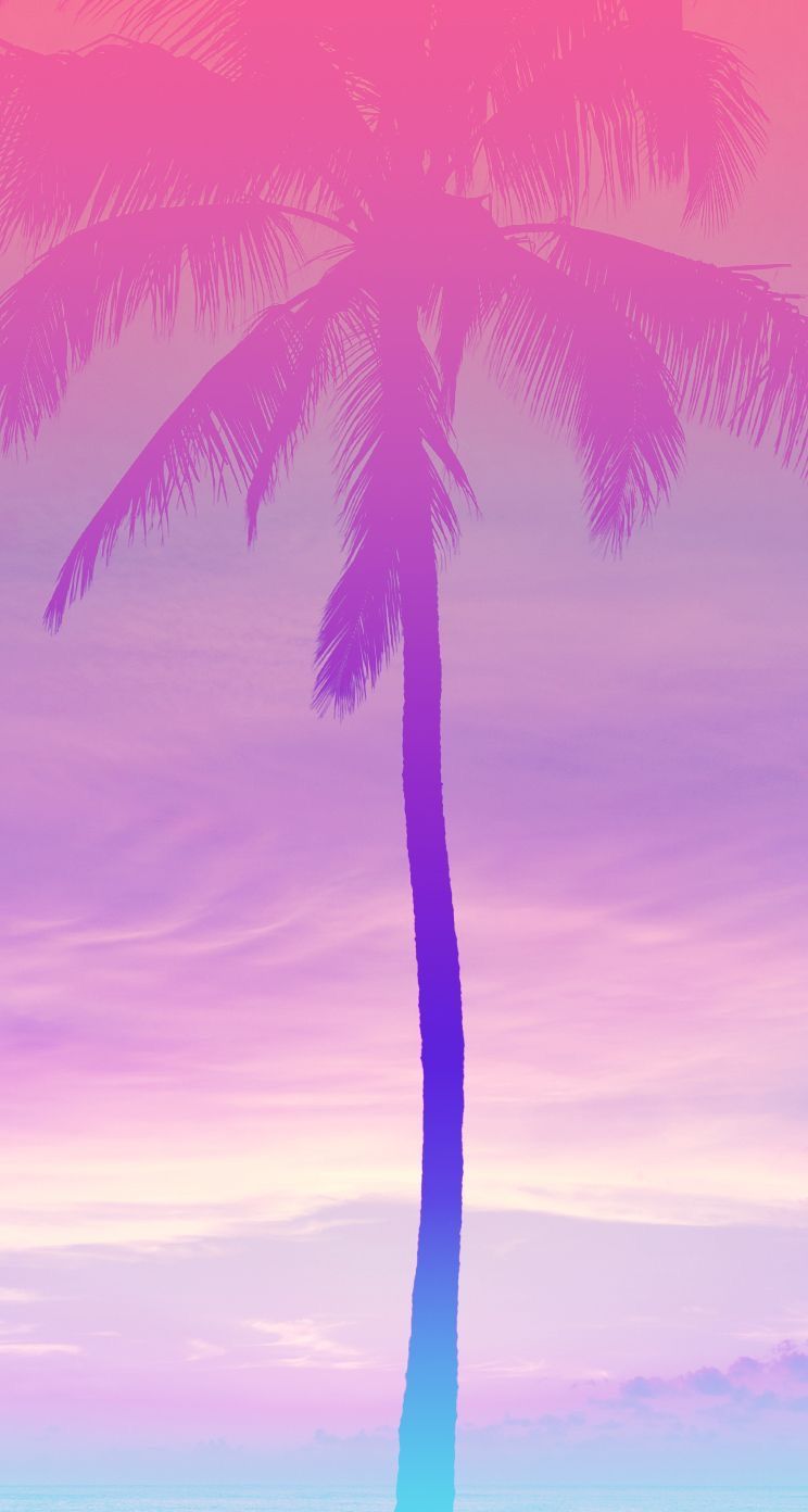 Palm tree, iPhone, wallpaper, background, pretty, summer, pink, purple. Tree wallpaper iphone, Tree wallpaper, Palm trees wallpaper