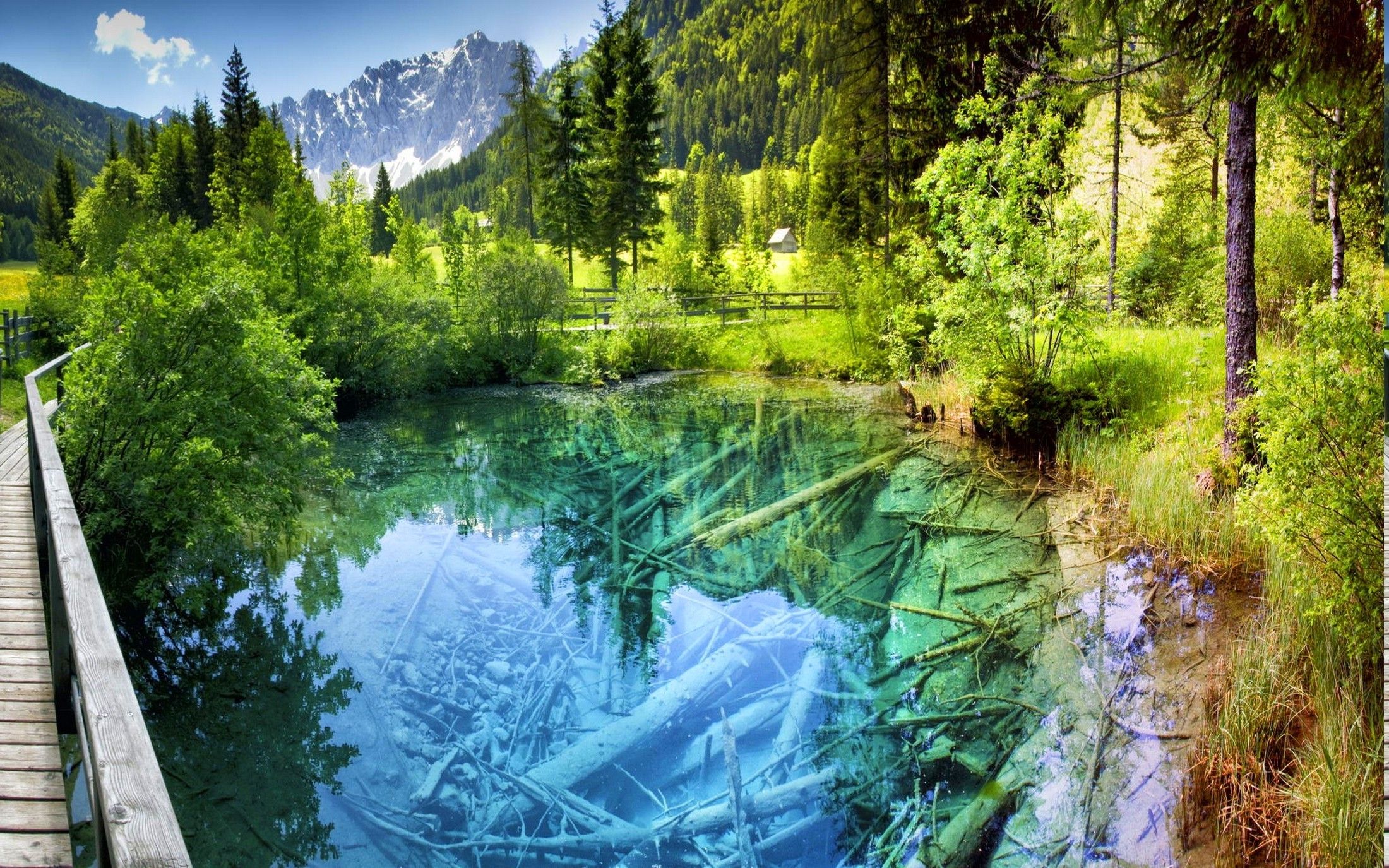 landscape nature pond forest walkway shrubs trees water turquoise mountain fence summer austria colorful europe snowy peak reflection wallpaper