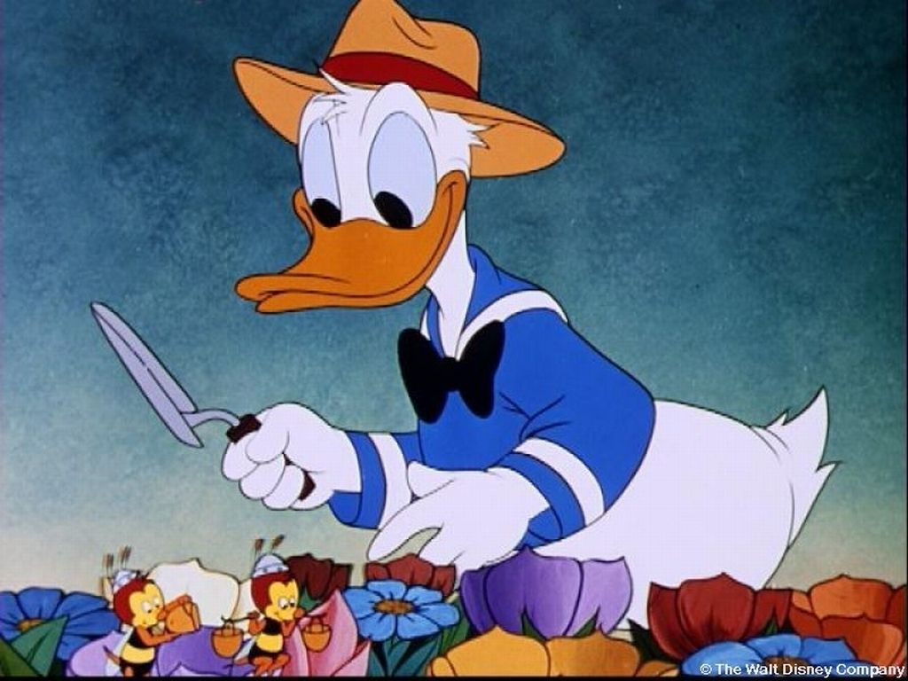 Free download UNIVERSO DISNEY Personagens Disney imagens aleatrias [1024x768] for your Desktop, Mobile & Tablet. Explore Free Disney Wallpaper. Free Disney Desktop Wallpaper Background, Free Disney Wallpaper