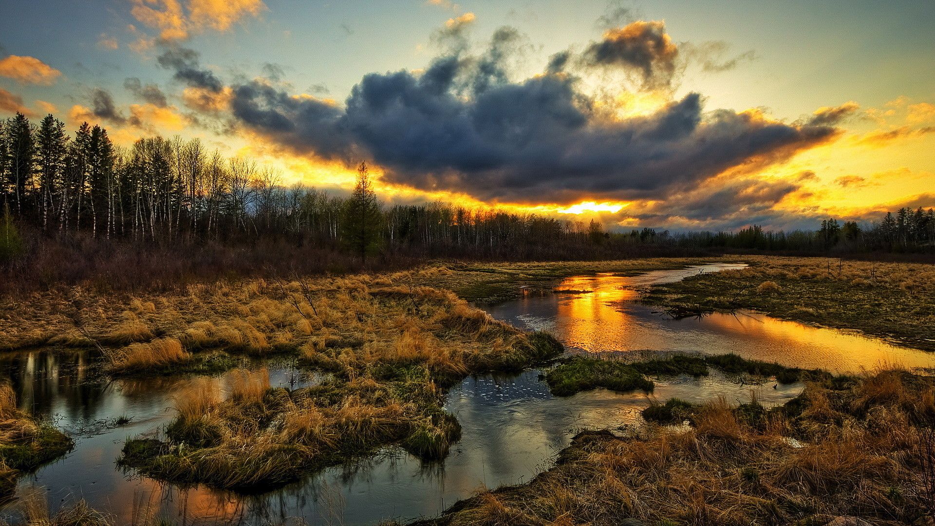 Beautiful evening. Download photo of amazing landscapes for the tablet. Spring swamp