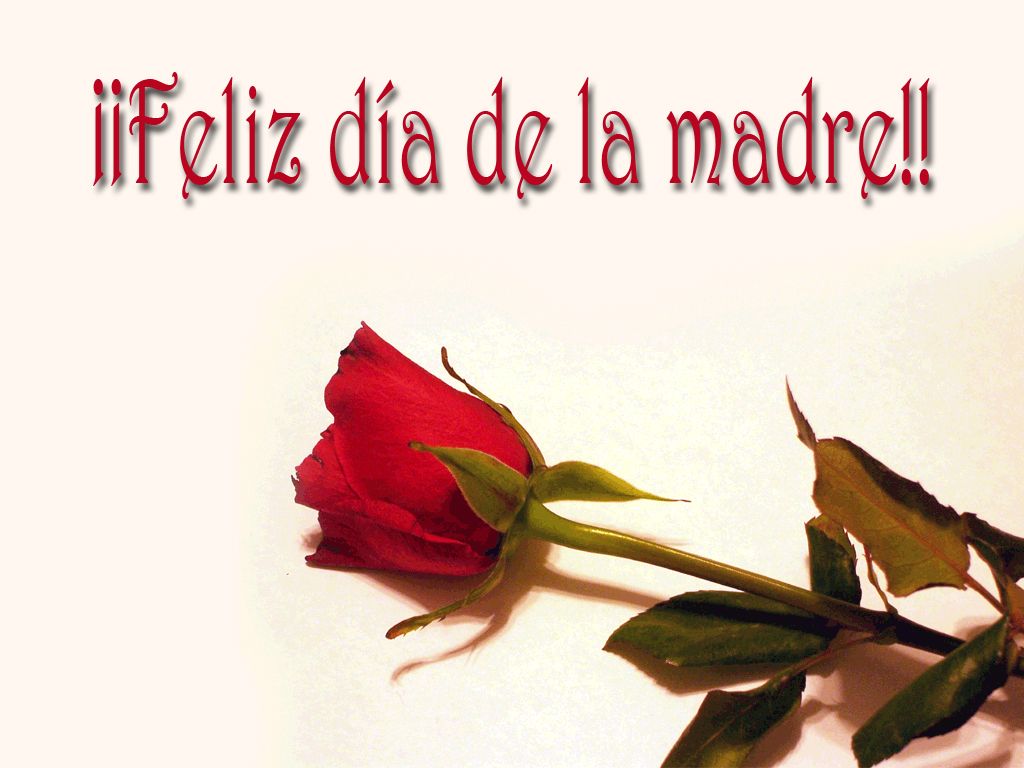 Wallpaper Dia De Las Madres