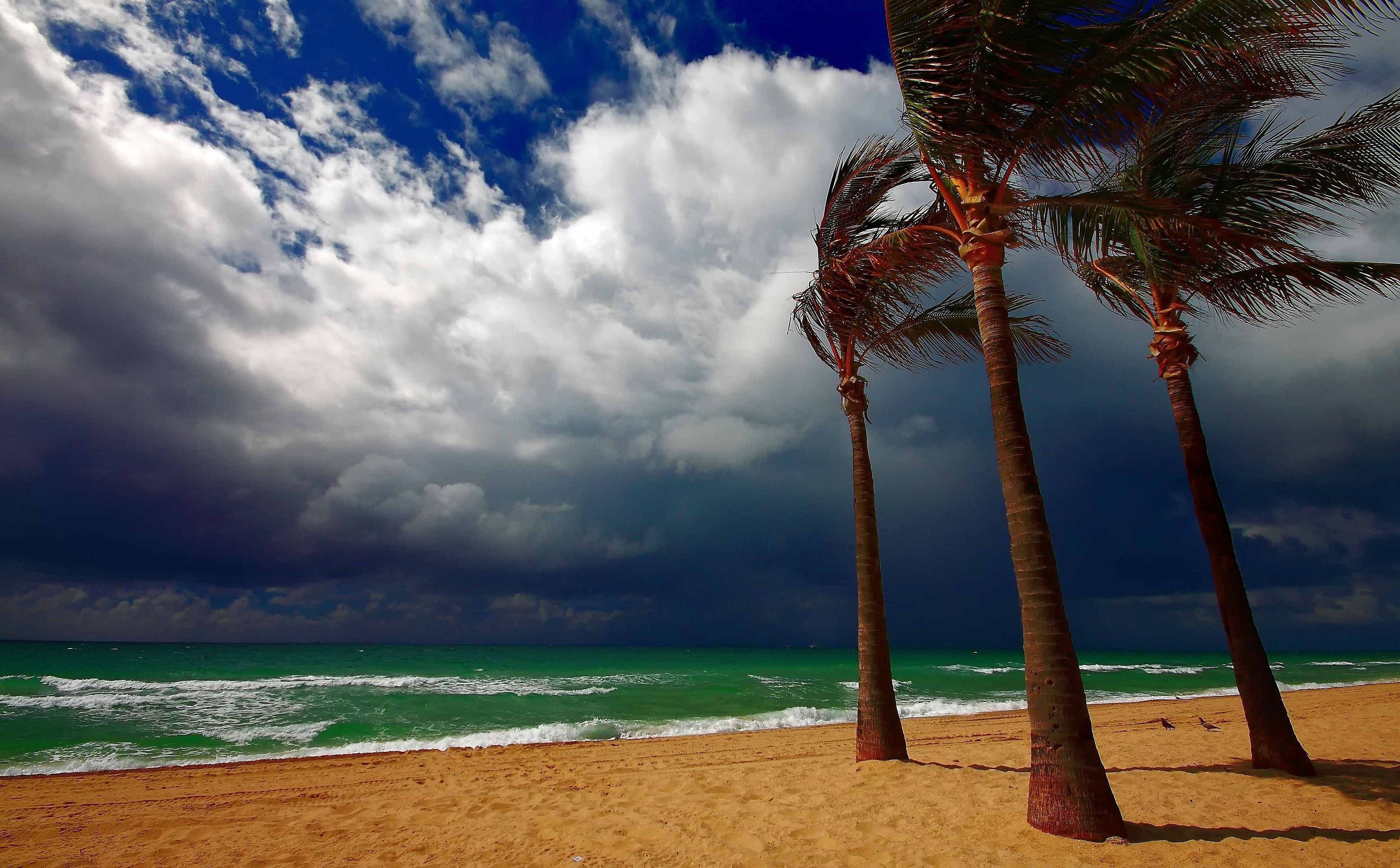 Rainy day at the beach. Download free widescreen wallpaper amazing landscapes for your phone