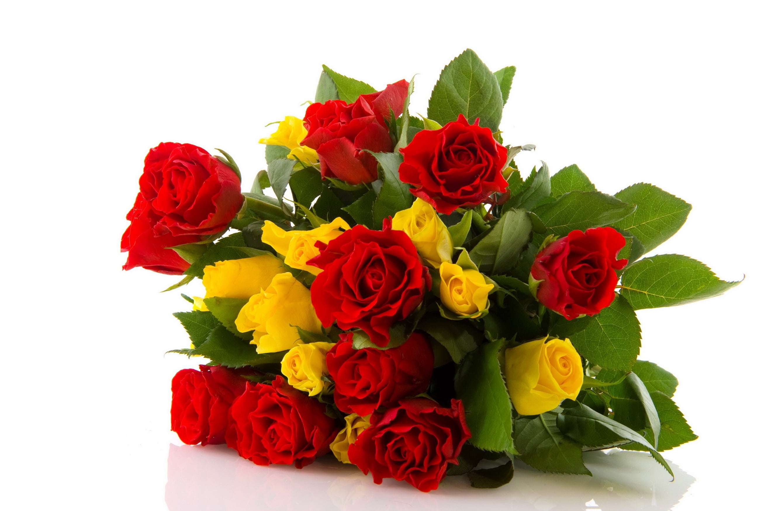 Red And Yellow Rose HD Wallpaper