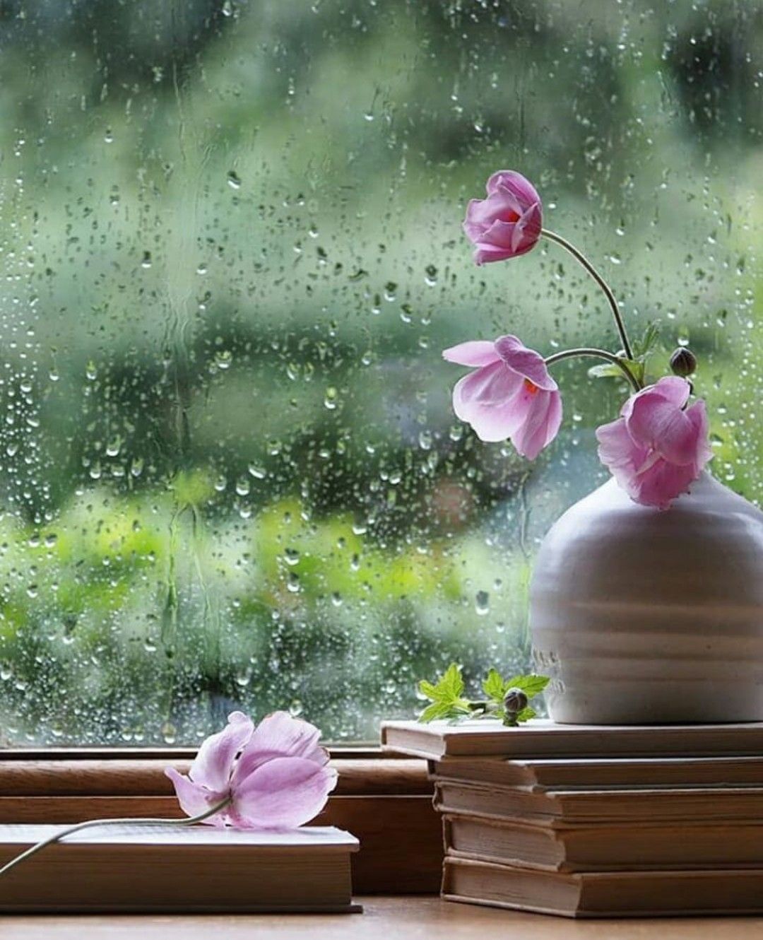 Resimlerin Dili 4K. Rain wallpaper, Good morning rain, Good morning rainy day