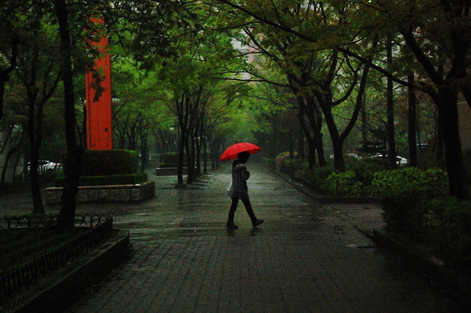 beautiful rainy days. Rainy Days £ Nights. Rain photography, Rainy night, Umbrella photography