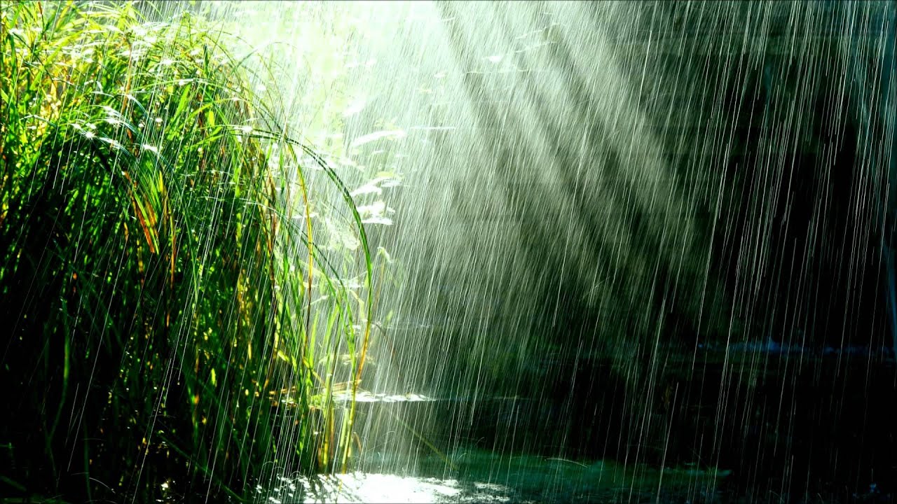 Sunny Day Rainy Day HD Wallpaper