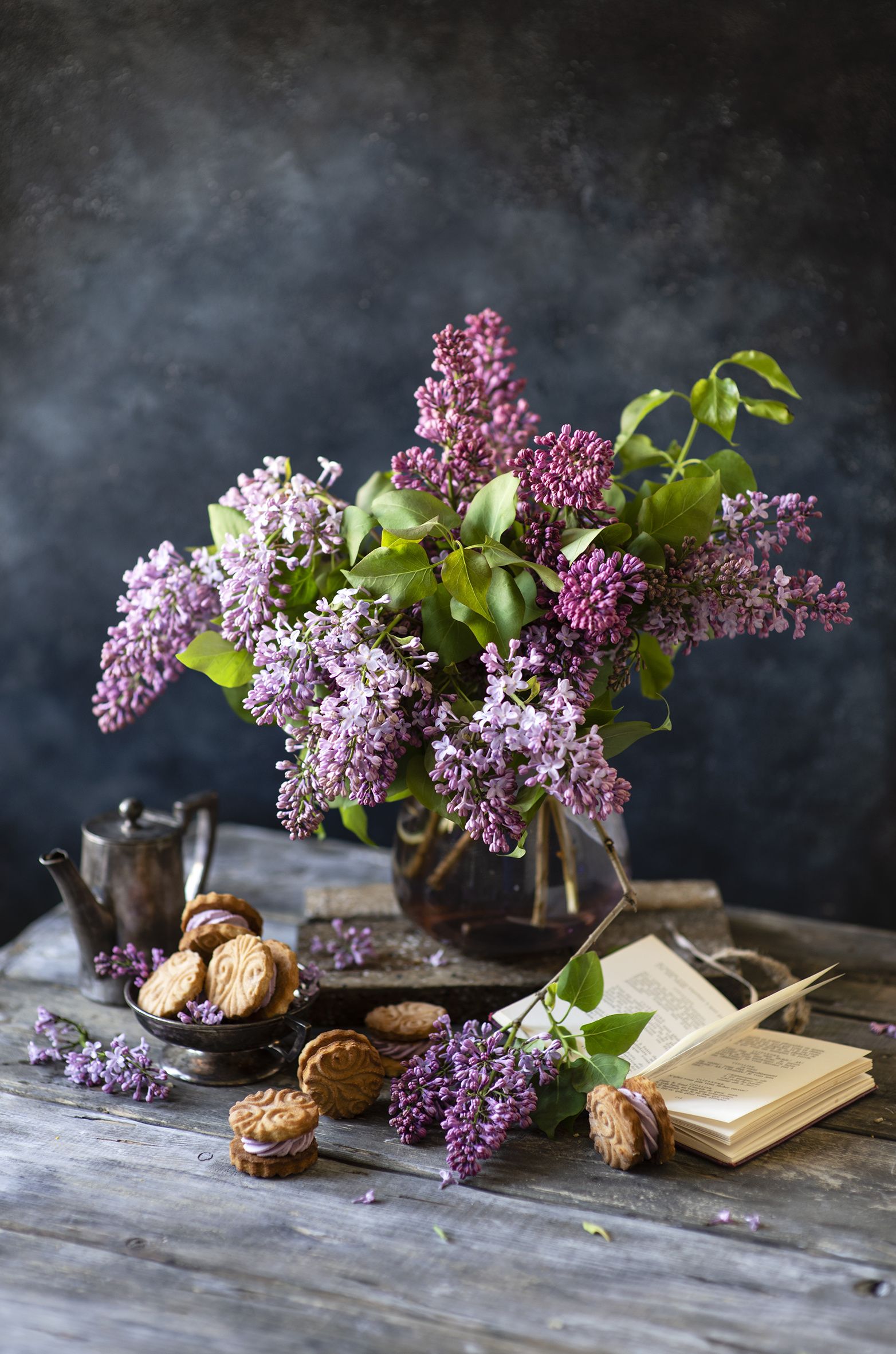 Desktop Wallpaper Lilac flower Food books Cookies Branches