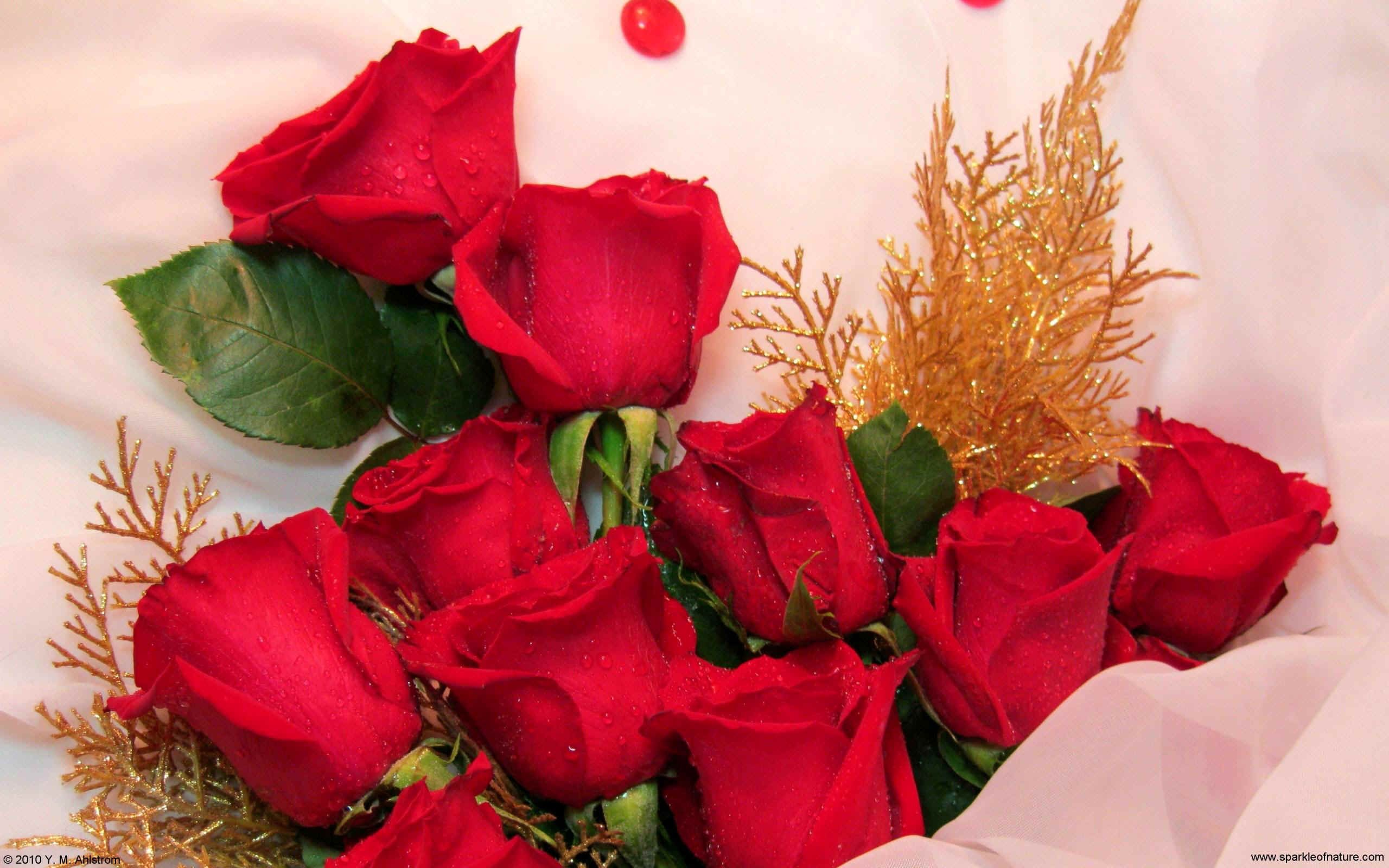 Red Valentine Roses