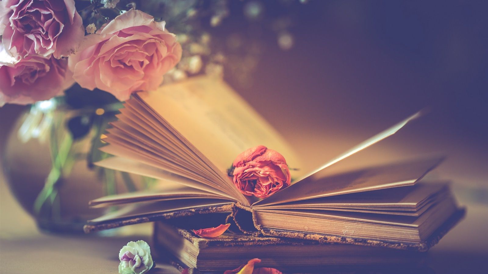 Wallpaper Pink roses and books, romantic 1920x1200 HD Picture, Image