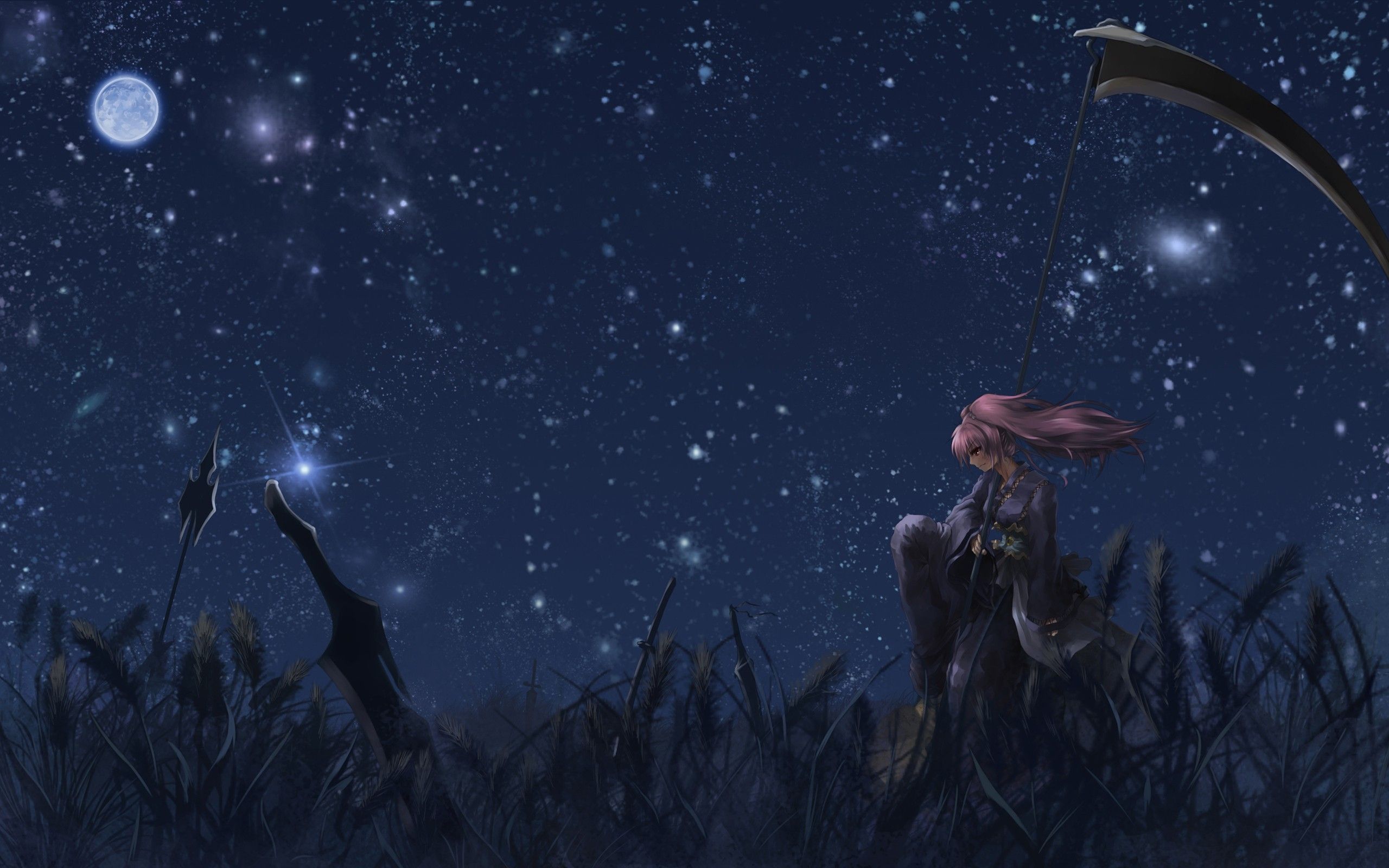 Download Wallpaper, Download 2560x1600 women video games nature touhou night stars scythe redheads grass long hair weapons plants shinigami Wallpaper –Free Wallpaper Download