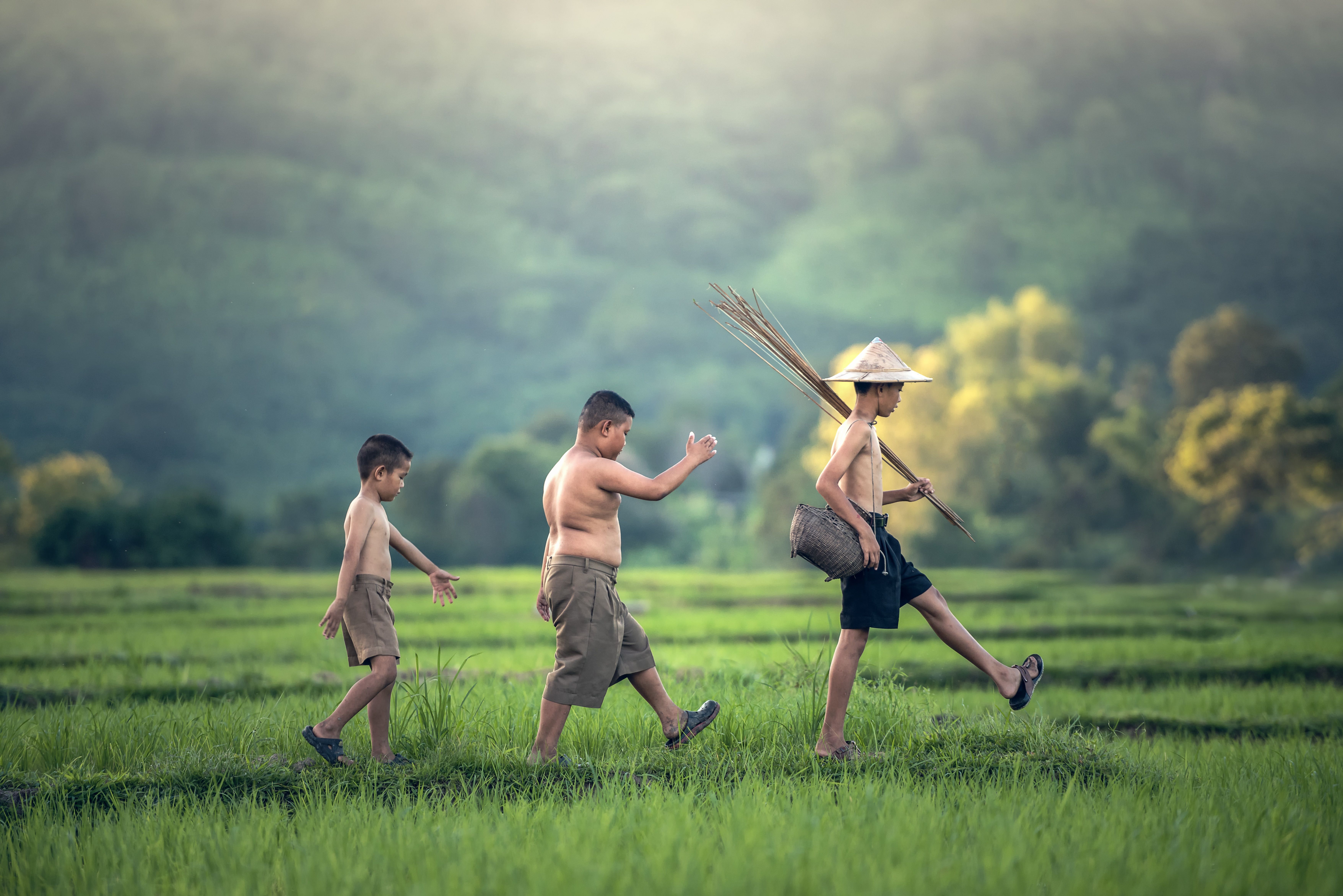 image Boys Children Hat Walking Asian Grass Shorts Three 7024x4688
