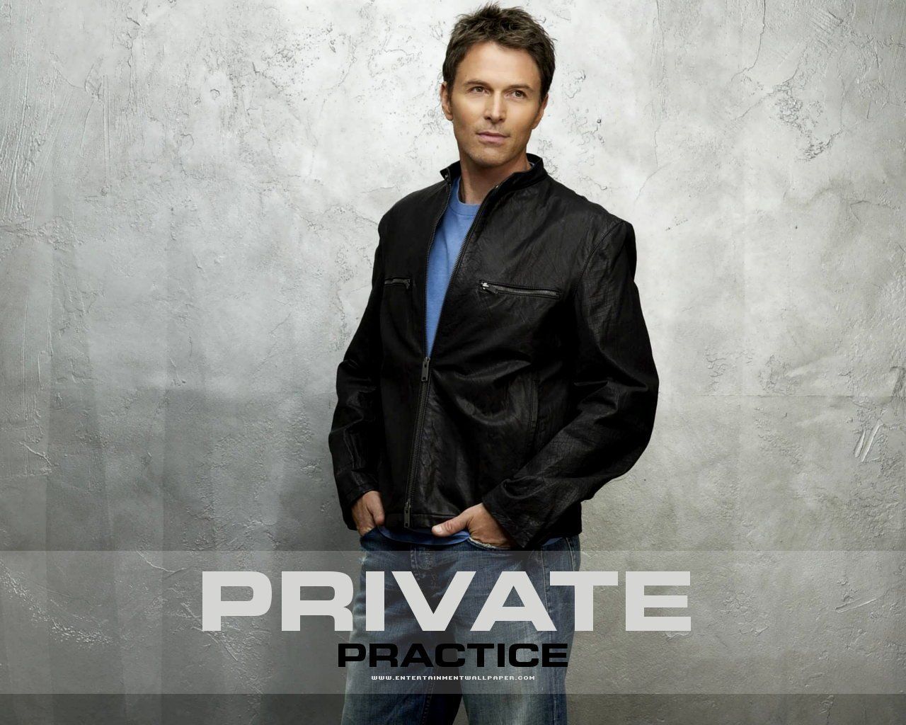 Tim Daly Wallpaper: Tim Daly. Tims, Private practice, Wallpaper