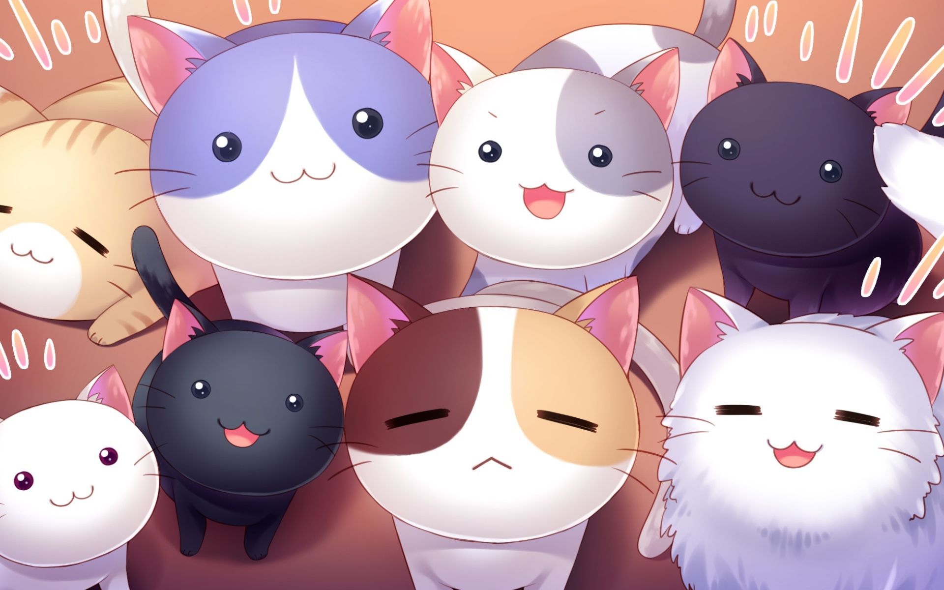 25 Top Picks For Cartoon Cat Wallpaper Cute Free To Download