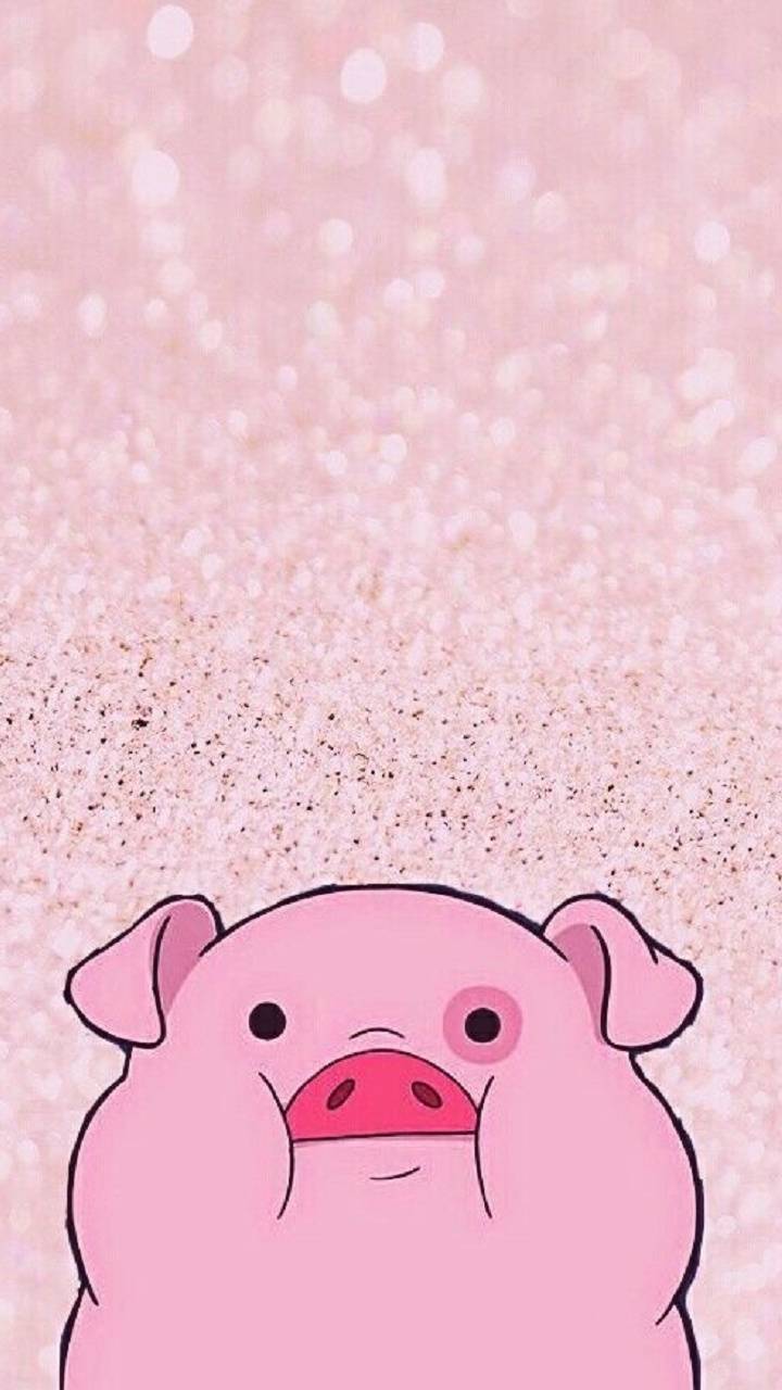 Piggy wallpaper