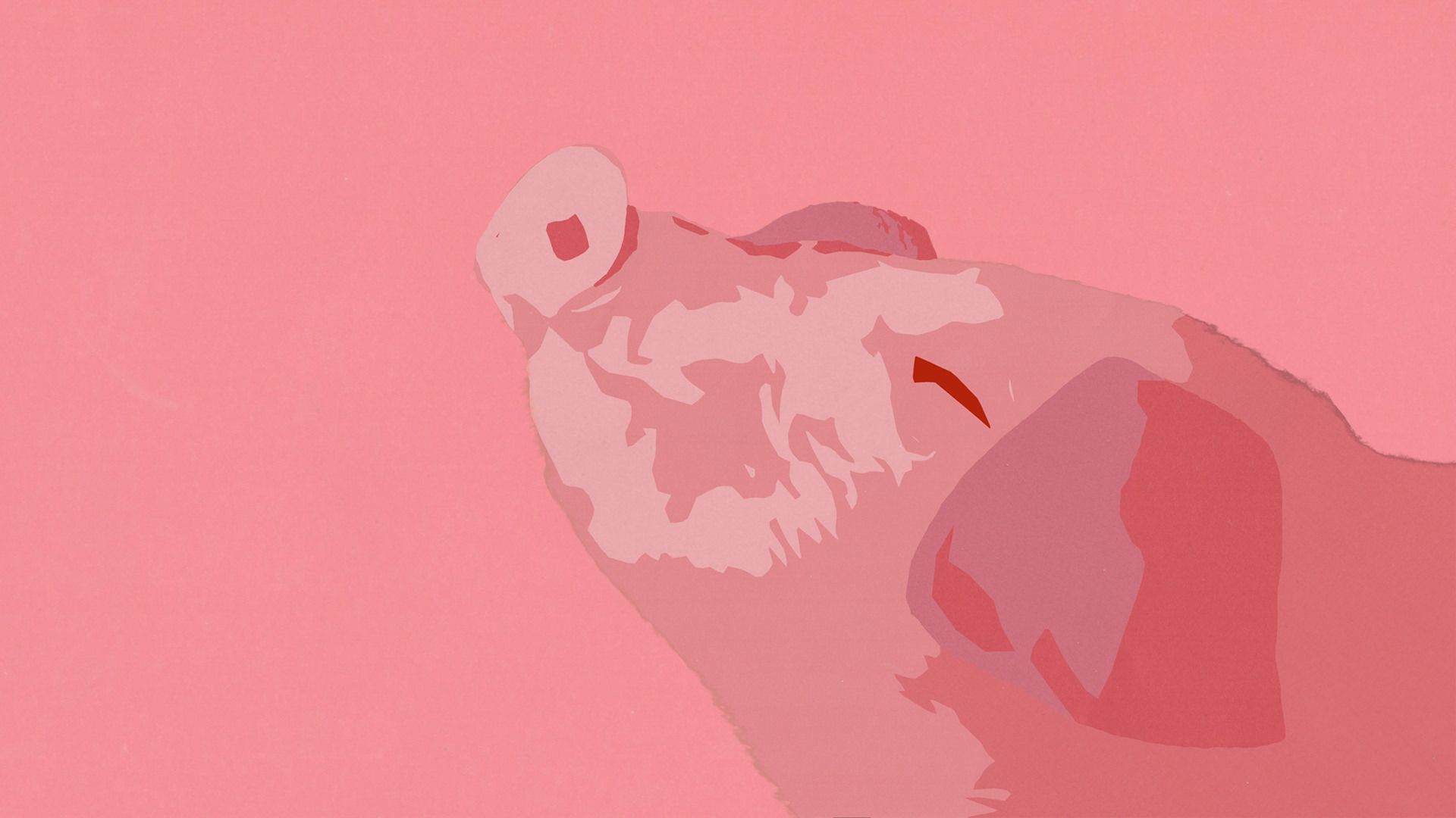 Pig Wallpaper (And Posters)