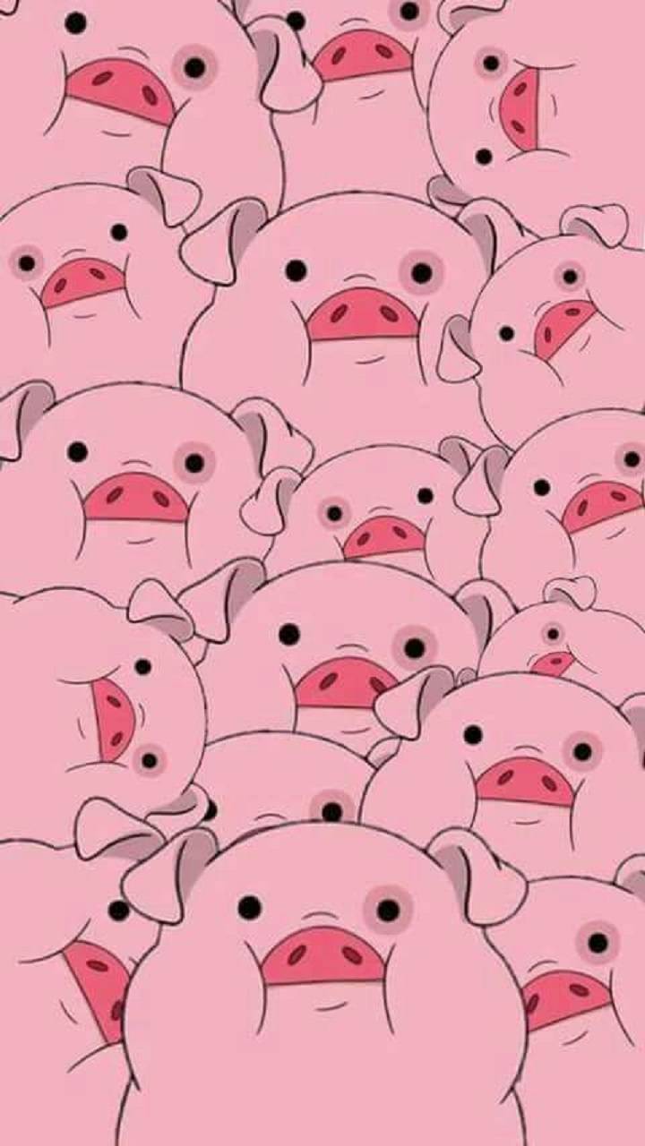 Piggy Wallpaper Free Piggy Background