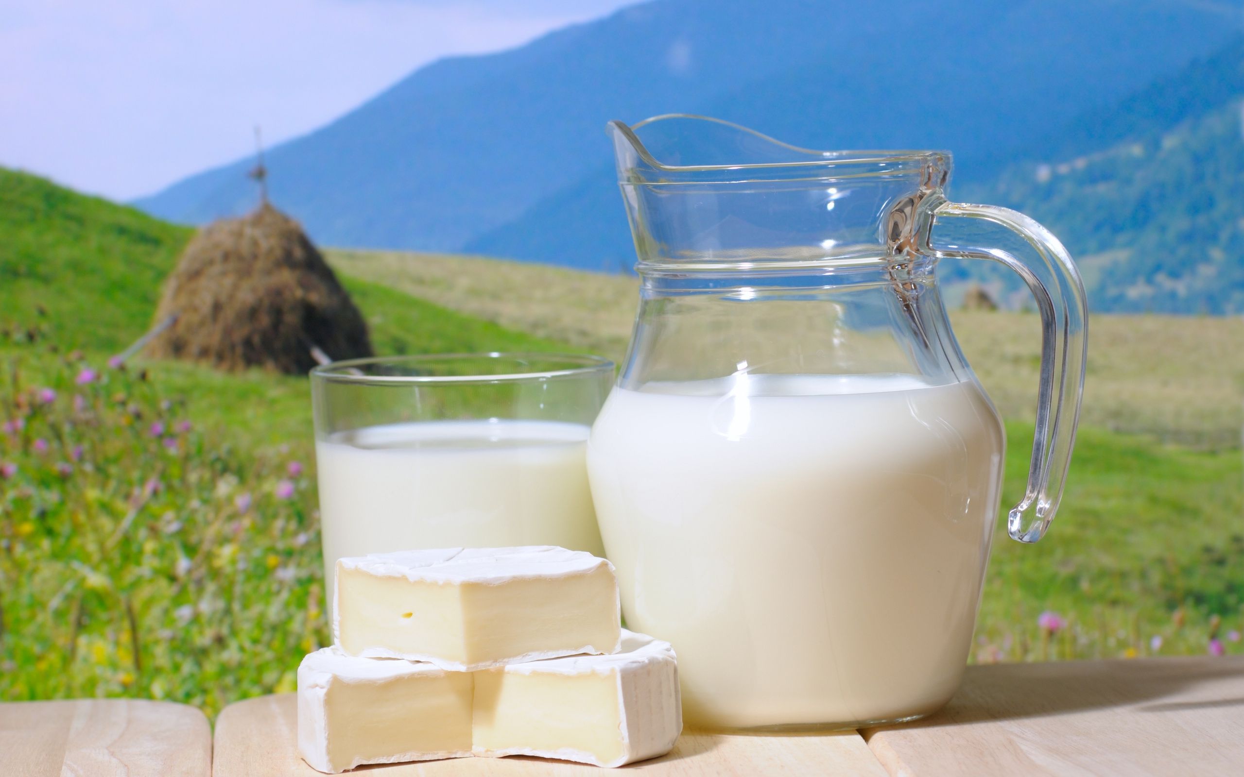 Wallpaper, food, cheese, drink, breakfast, milk, meal, coconut, produce, flavor, dairy product, pitcher, horchata 2560x1600