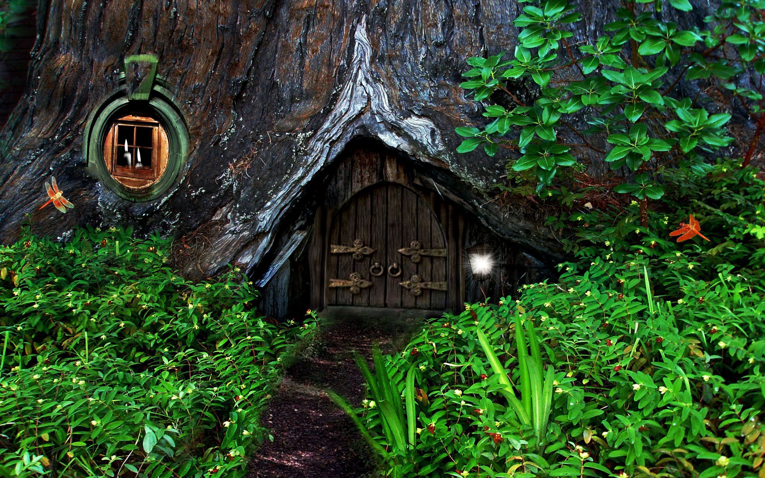 Magic Tree House Wallpapers - Wallpaper Cave