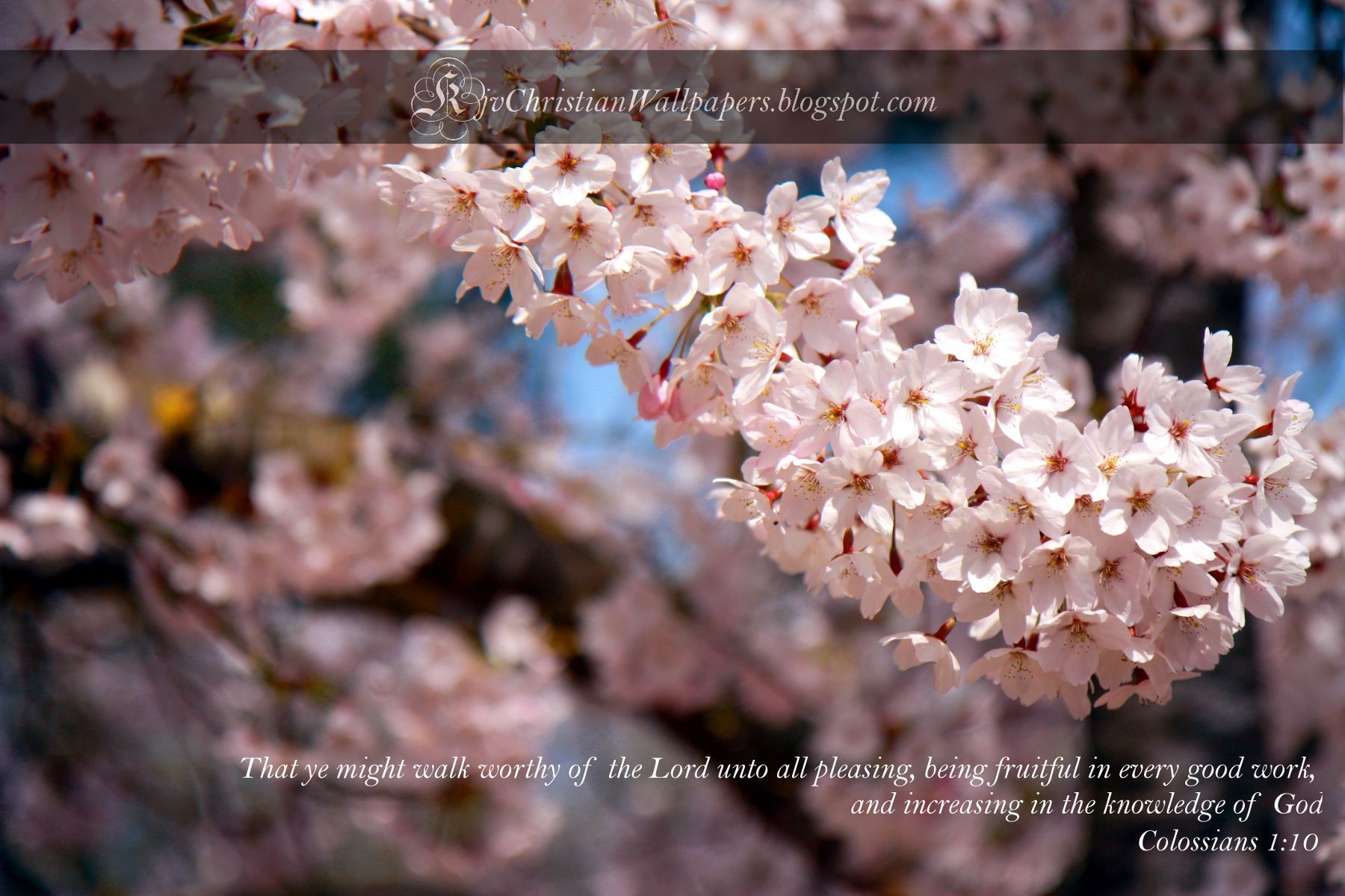 Free King James (KJB) versed Christian Wallpaper: April 2010