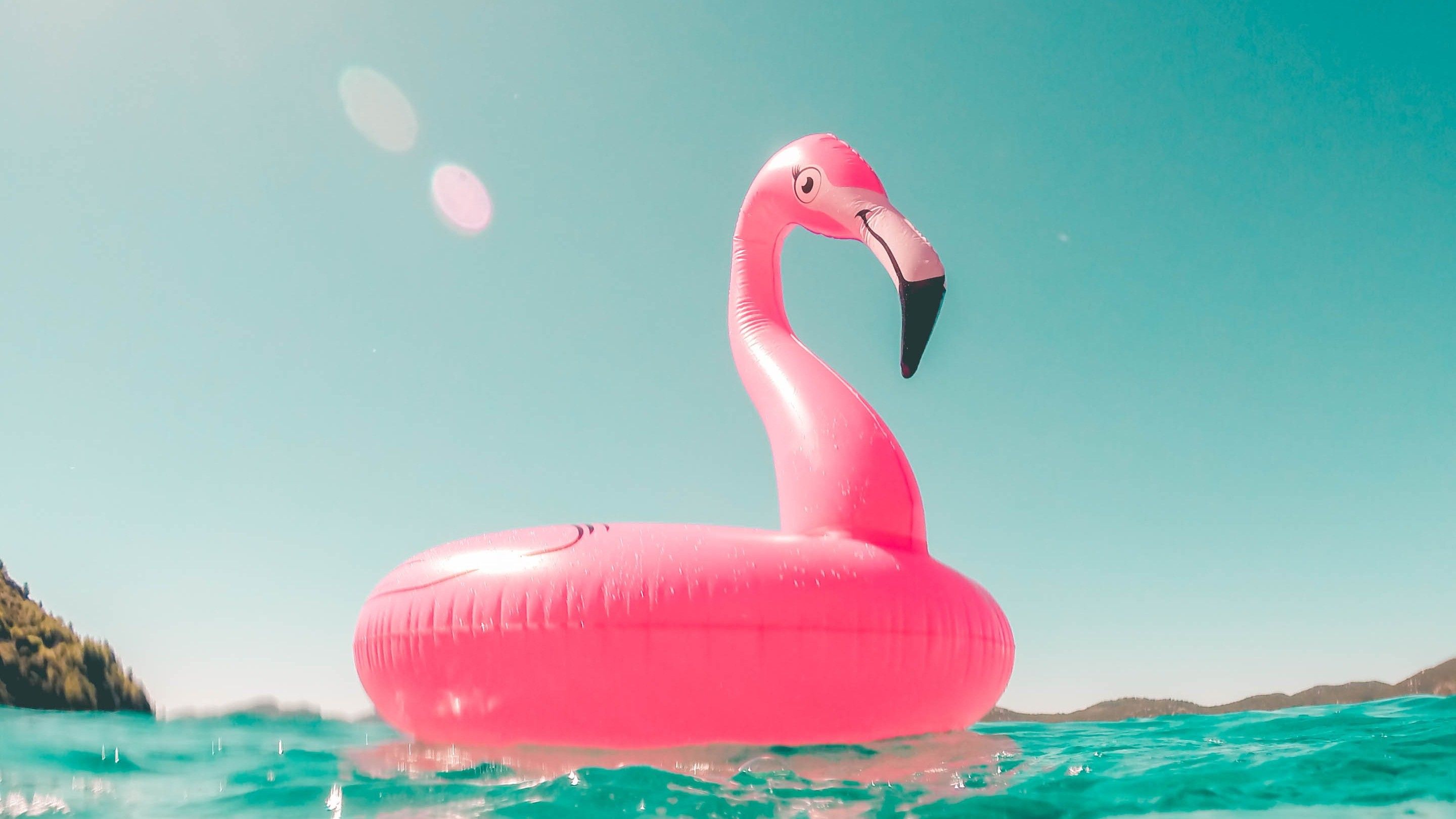 Flamingo Air Toy In Pool Summer Wallpaper Floating In Water