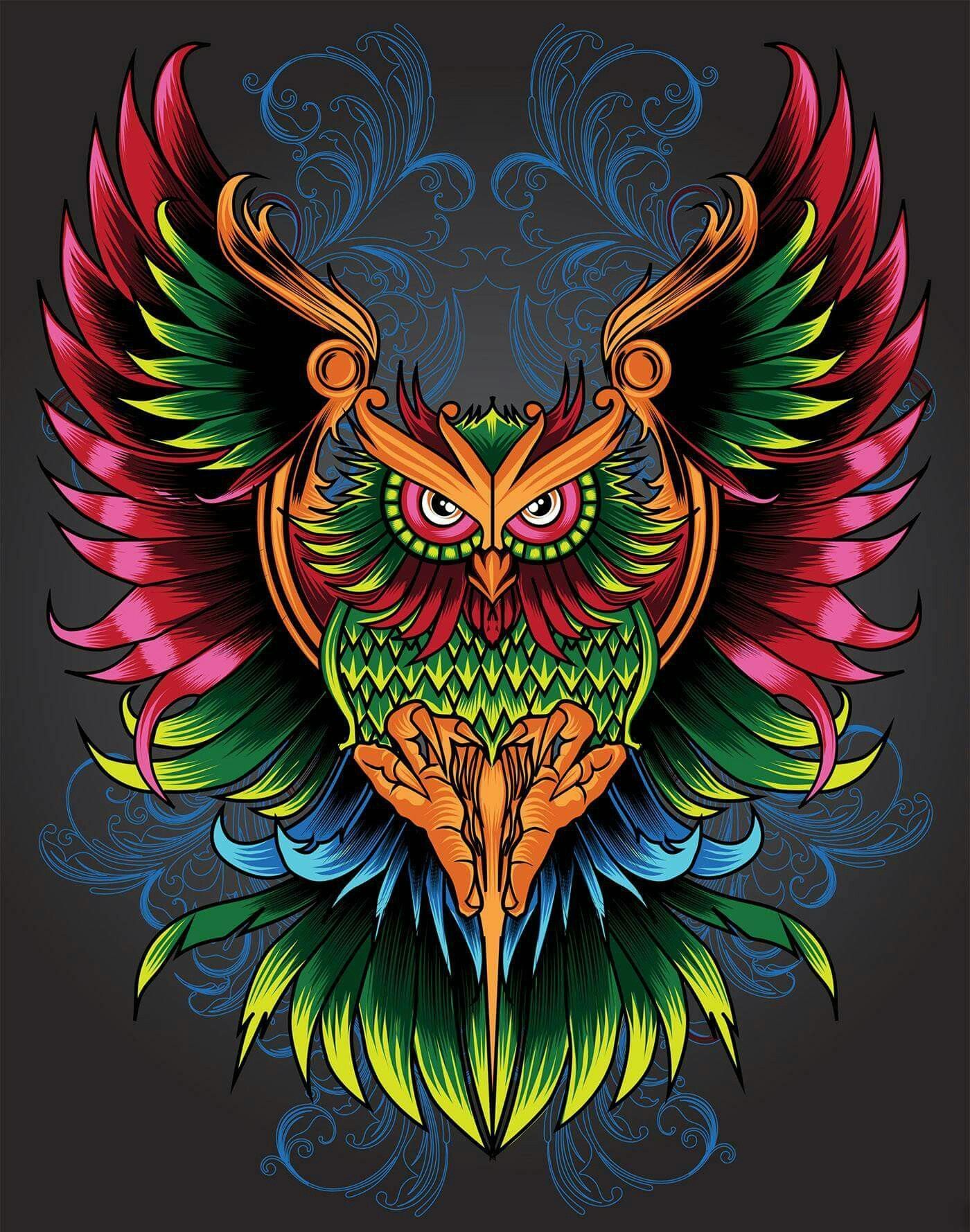 Colorful Owl Wallpaper Free Colorful Owl Background