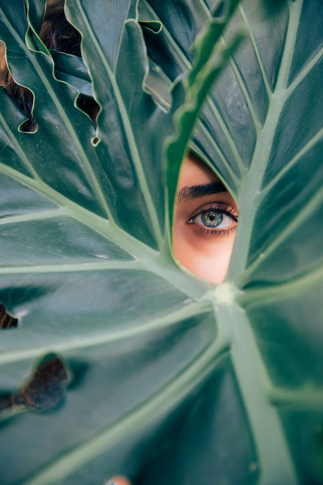 woman peeking over green leaf plant taken at daytime photo