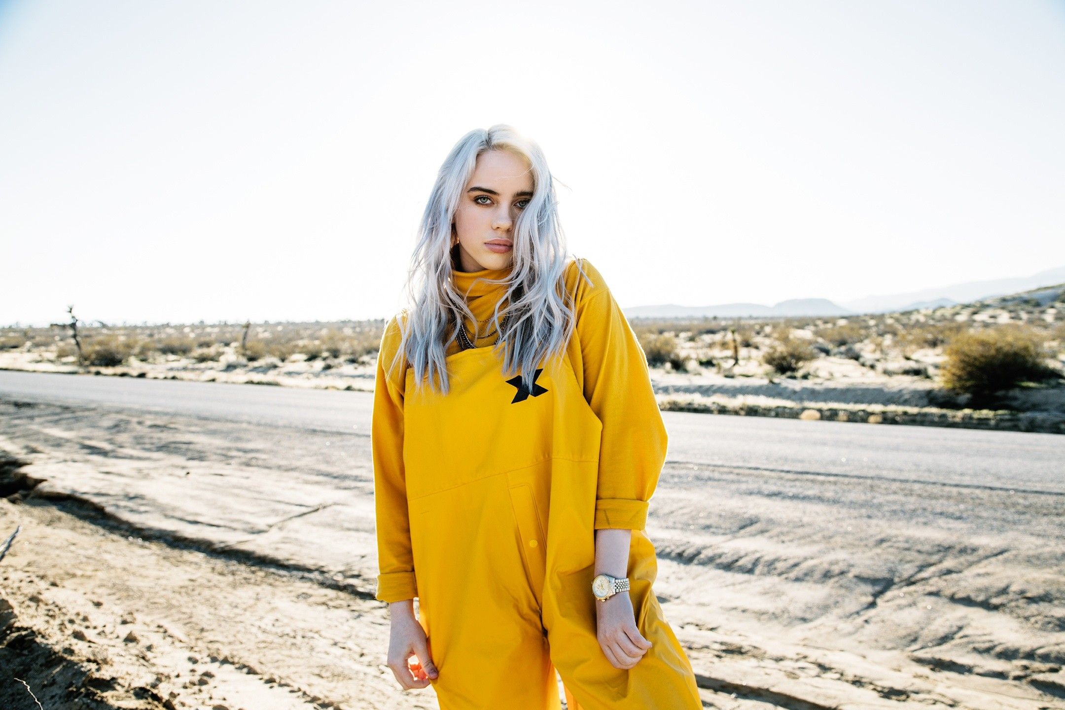 Billie Eilish 4K Wallpaper Free HD Wallpaper