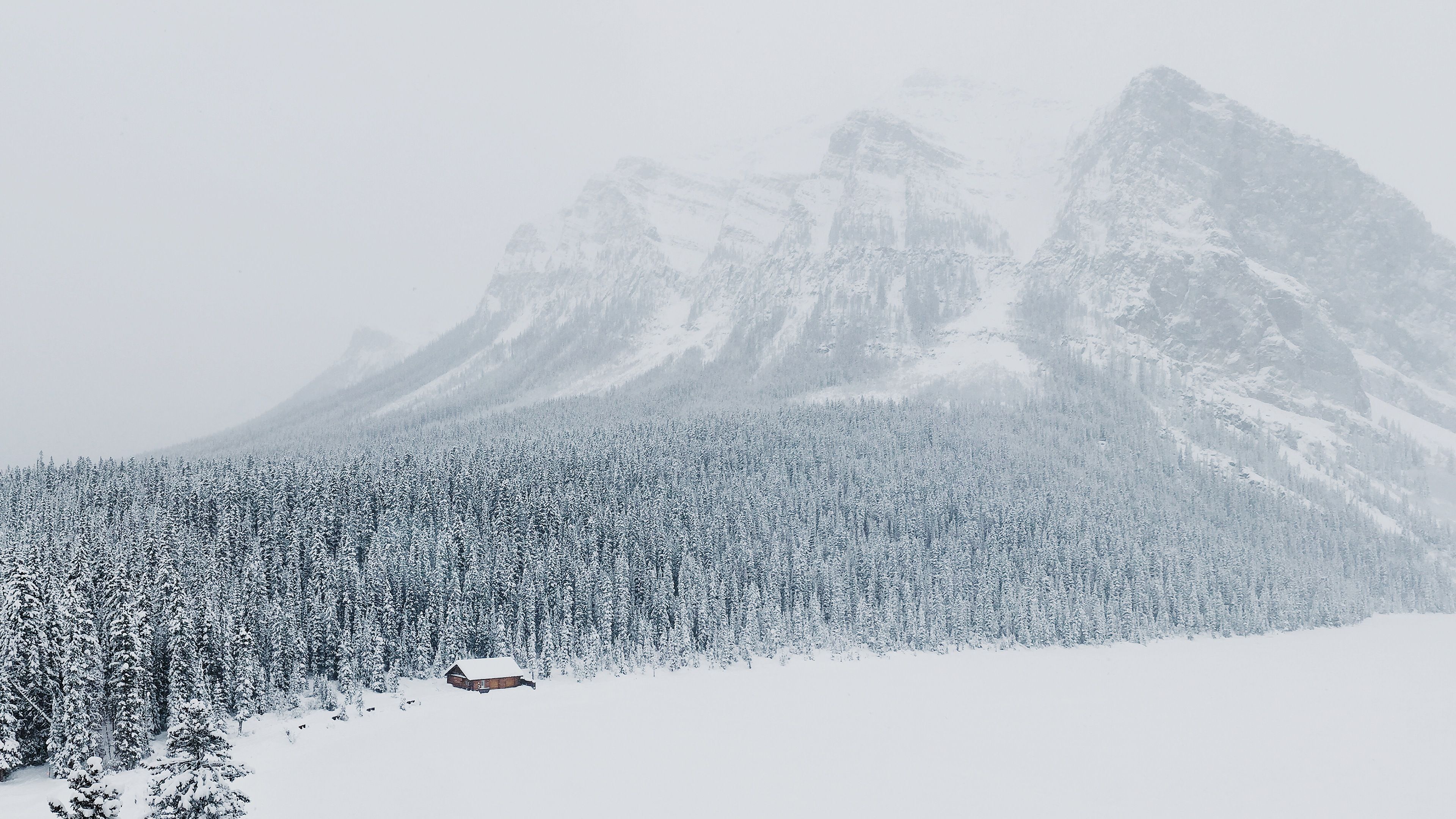 Winter Scene Mountain Base Forest Cabin 4K Ultra HD Wallpaper HD