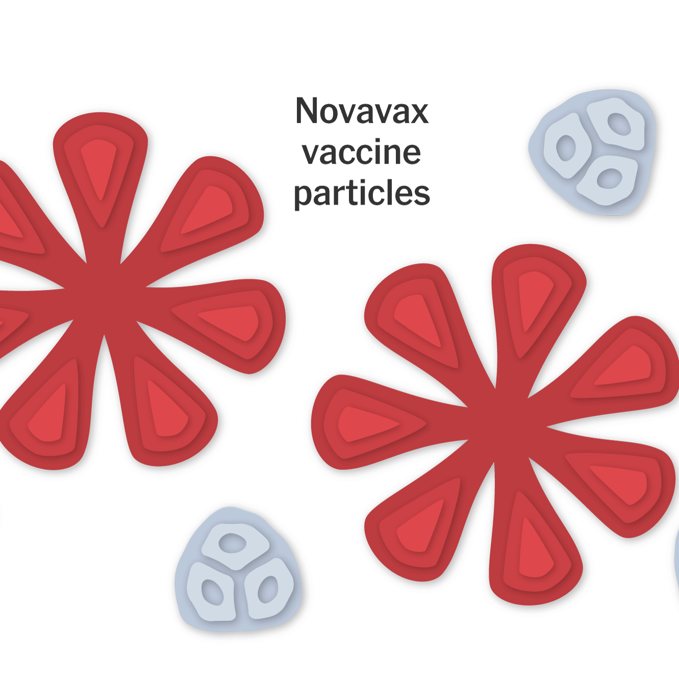How The Novavax Covid 19 Vaccine Works