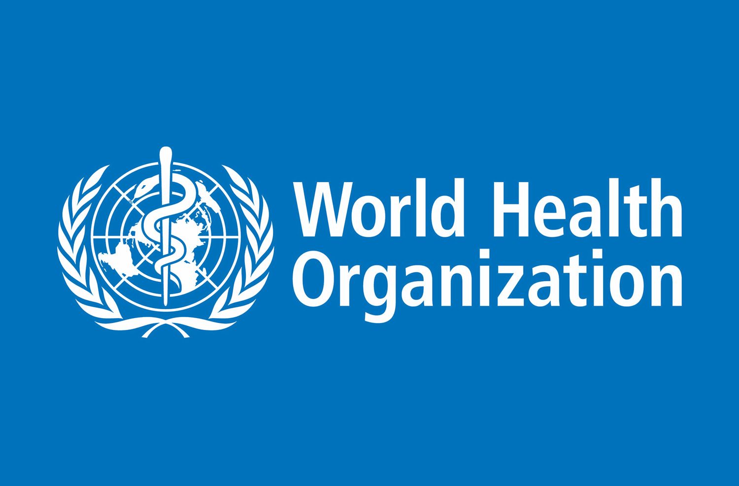 2504x804px 264.75 KB World Health Organization