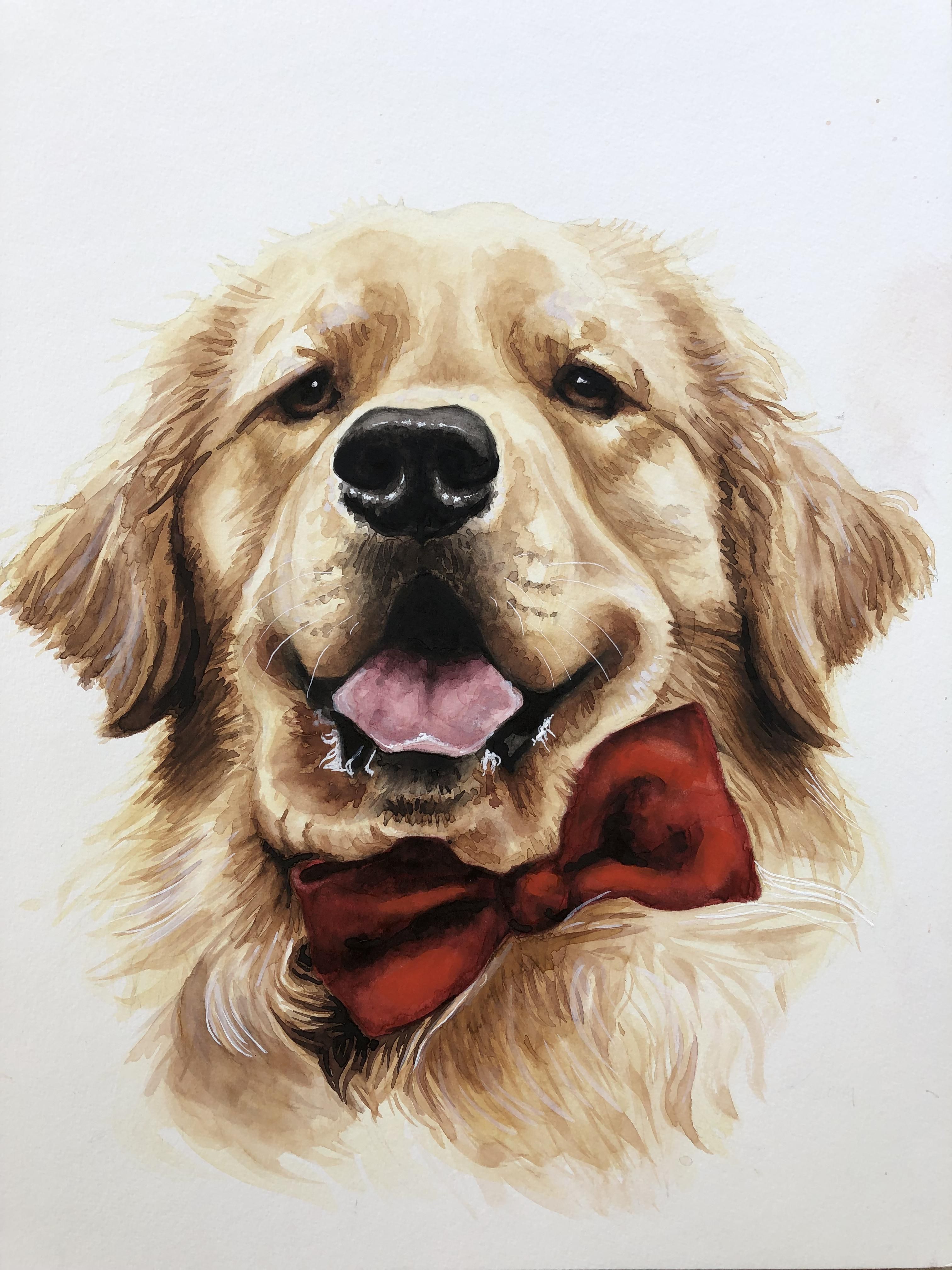 I painted Tucker Budzyn. Check him out on Instagram!. Baby animals picture, Dogs golden retriever, Cute dogs