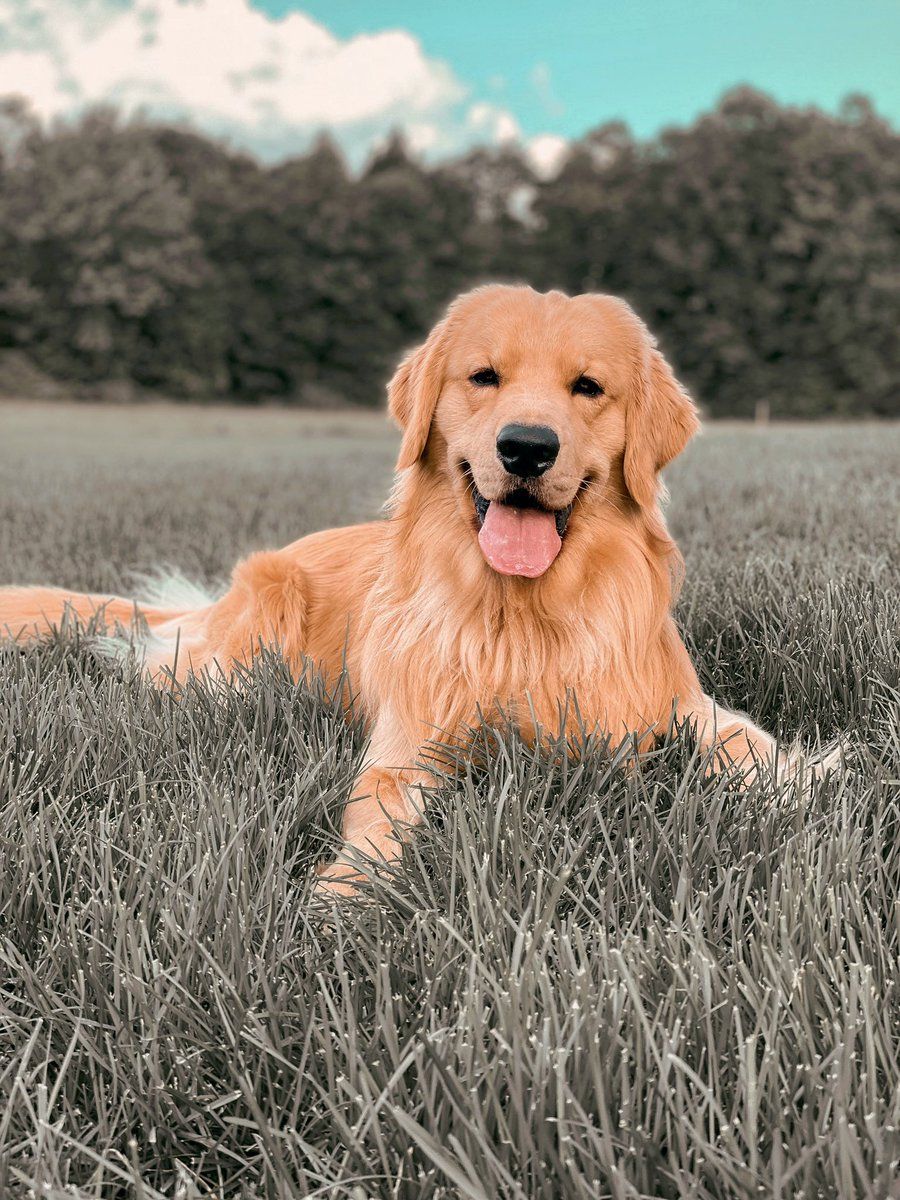 Tucker Budzyn took my first poo in my new backyard. Juss thought you should know