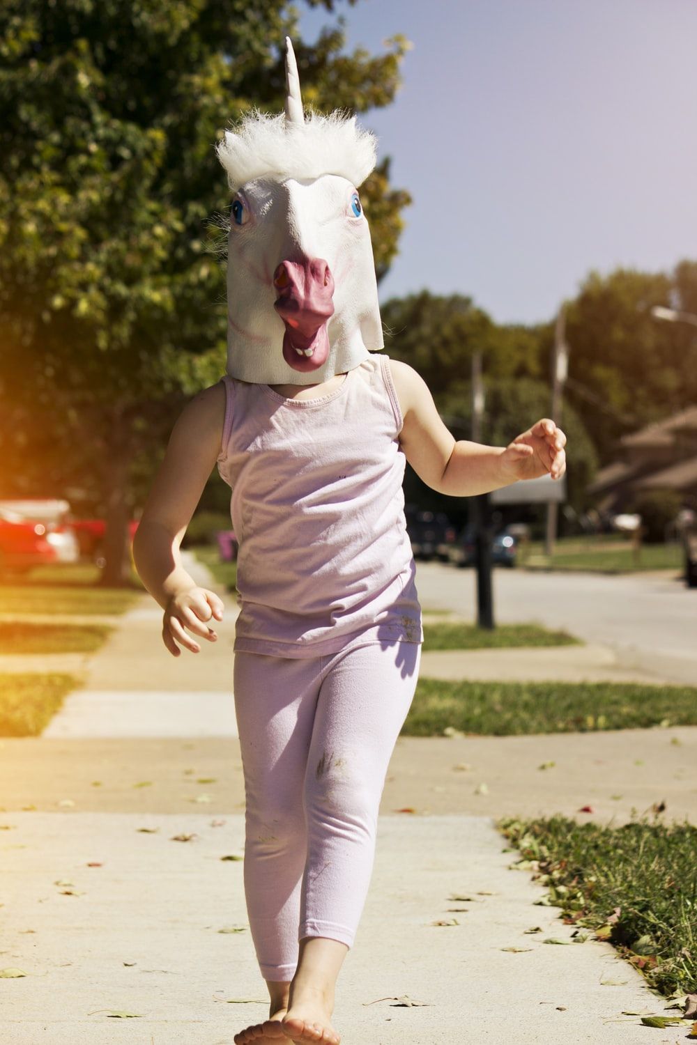 Unicorns Picture. Download Free Image