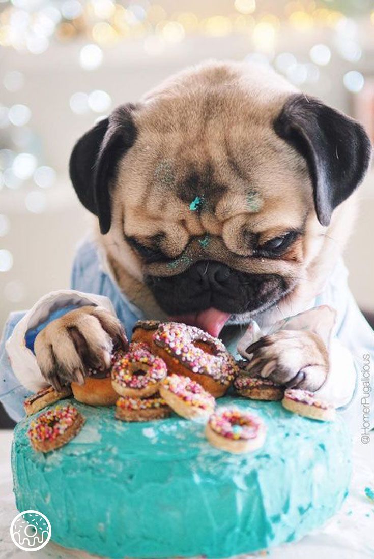 How we feel about National Donut Day coming up