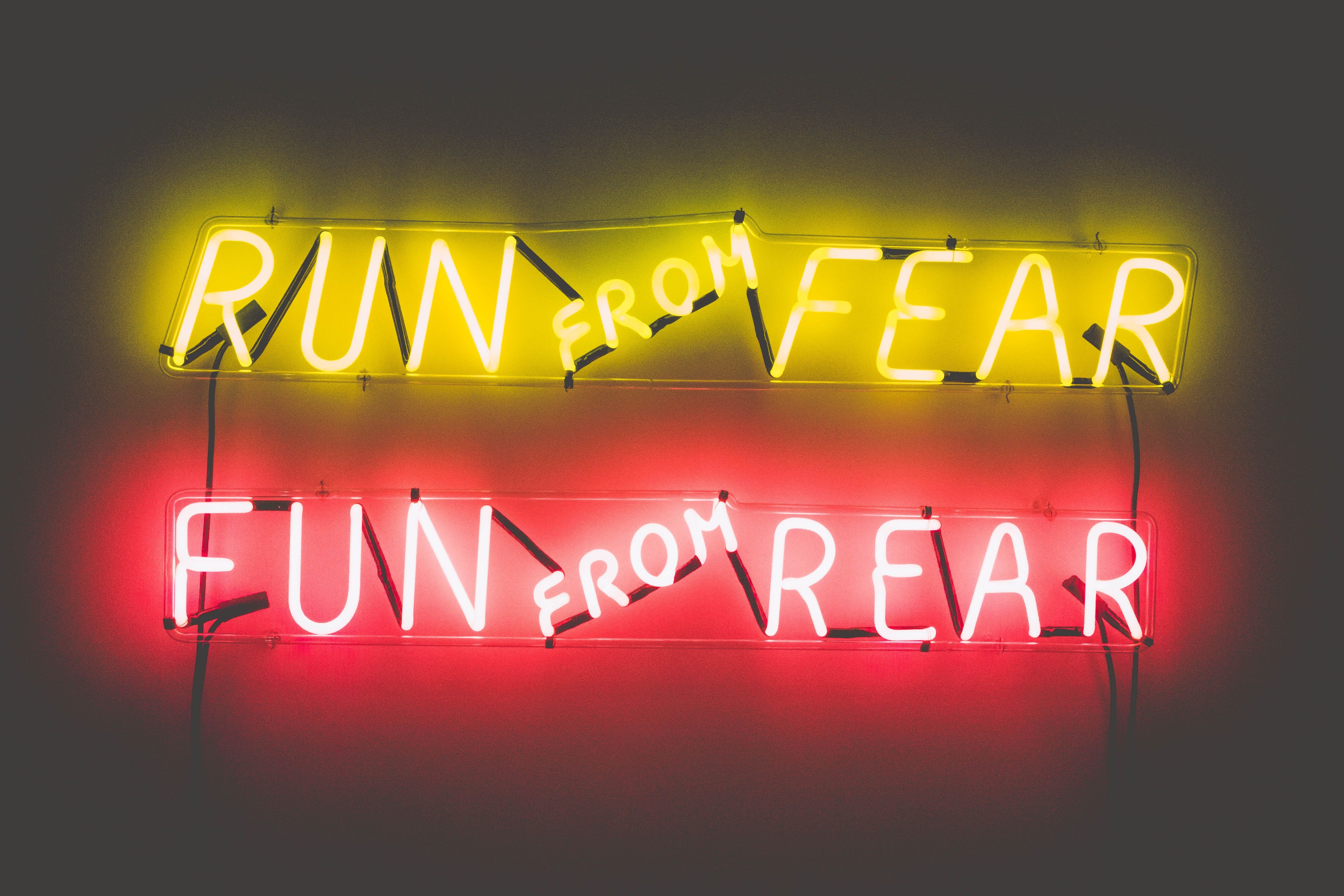 3968x2976 #text, #fun, #real, #wall sign, #rear, #yellow neon, #funny wallpaper, #type, #pink neon, #yellow, #run, #wall art, #typography, #PNG image, #fear, #neon sign, #pink, #sign, #funny background, #neon light, #wallpaper