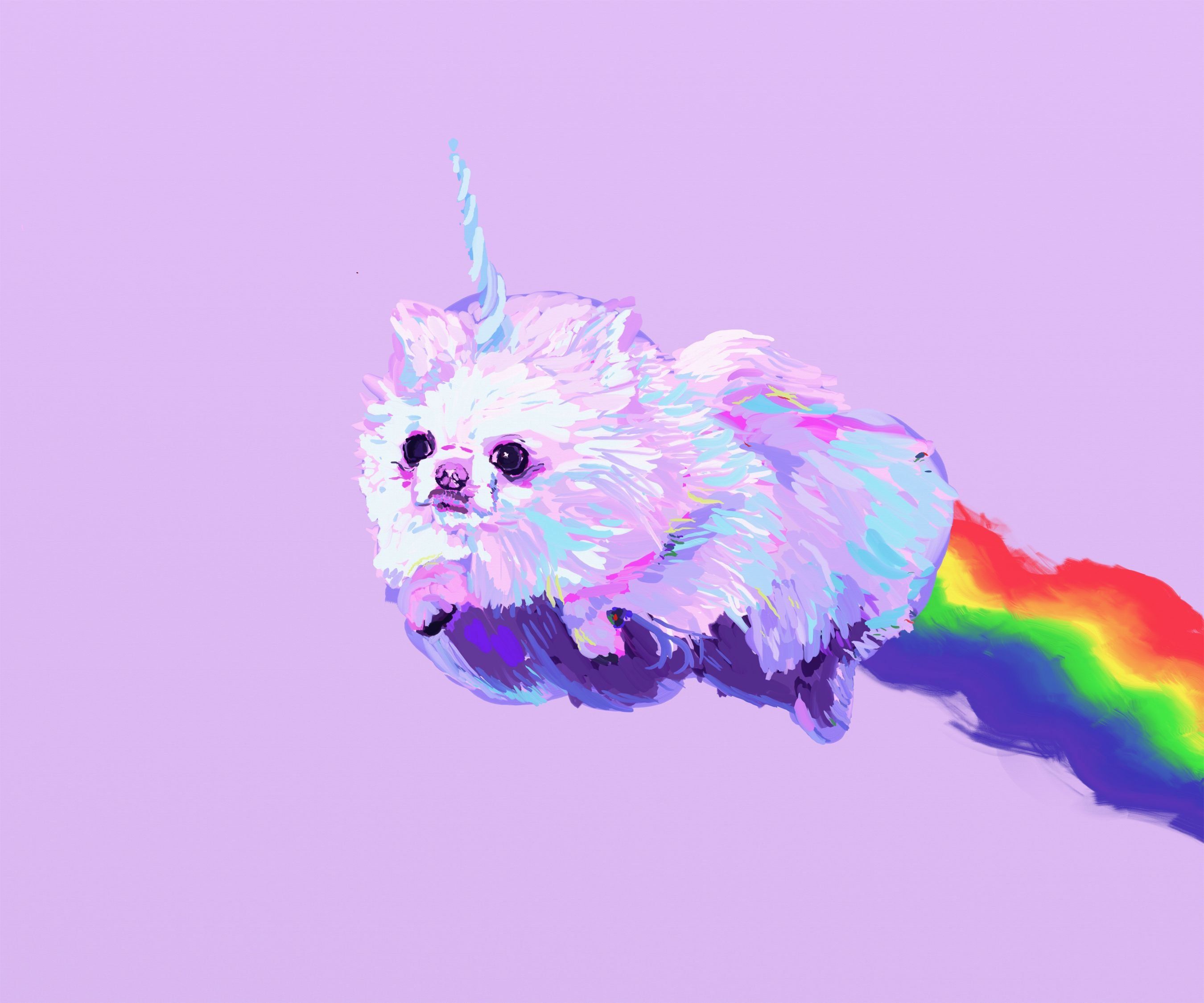 pomeranian, Dog, Dogs, Fantasy, Unicorn Wallpaper HD / Desktop and Mobile Background