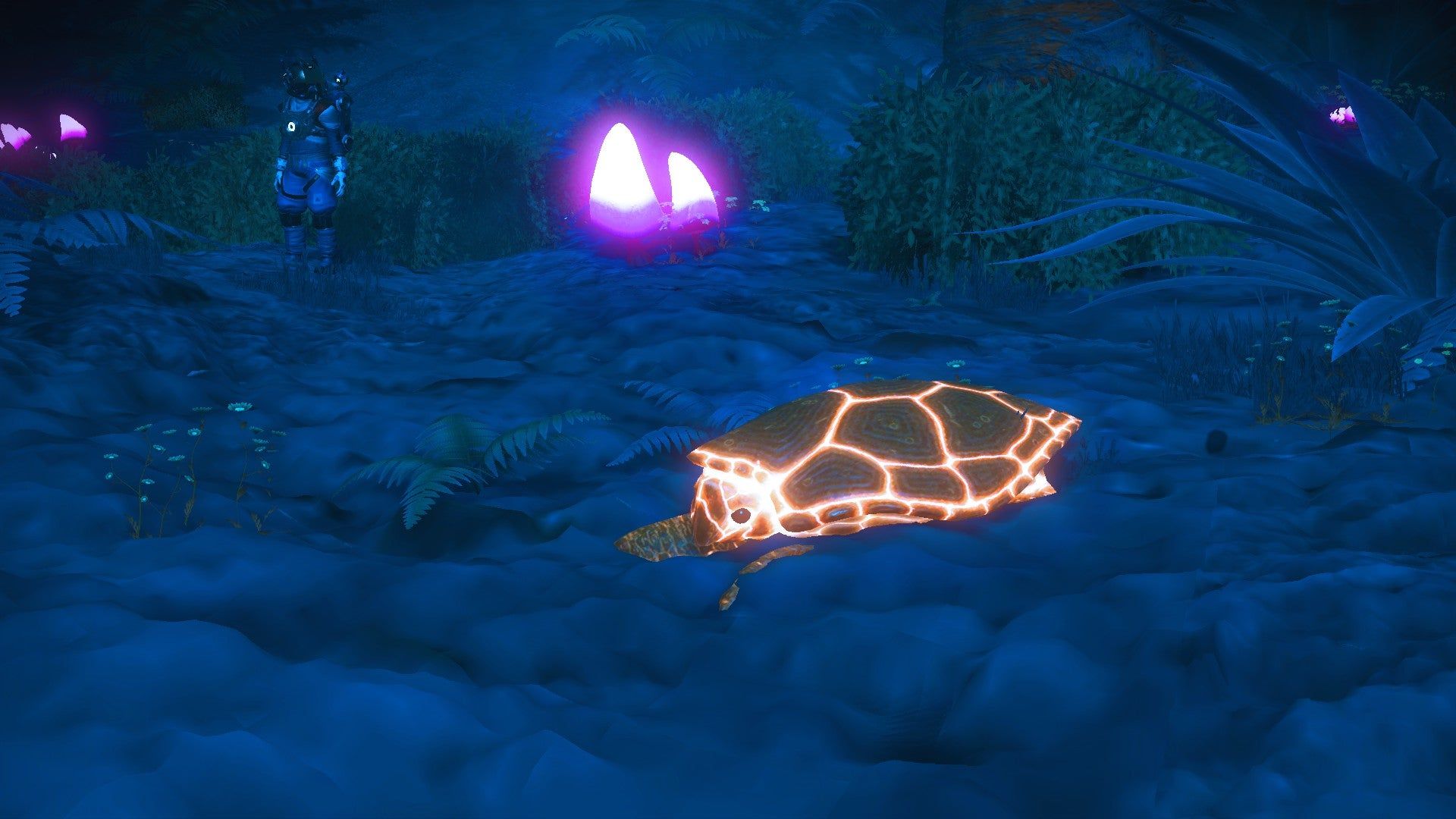 found a vapor planet with glowing fungus and neon turtles