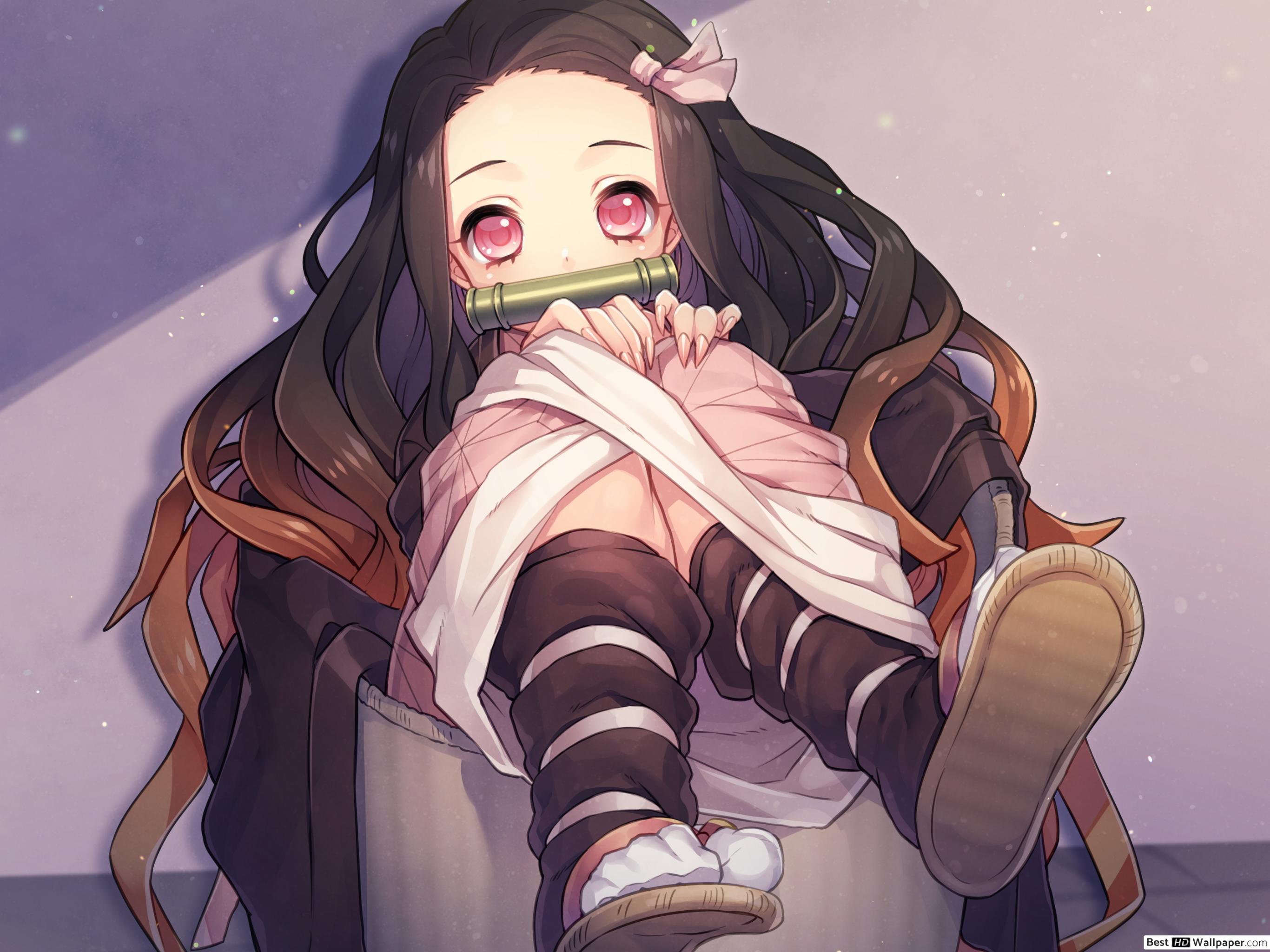 Kamado Nezuko HD wallpaper download