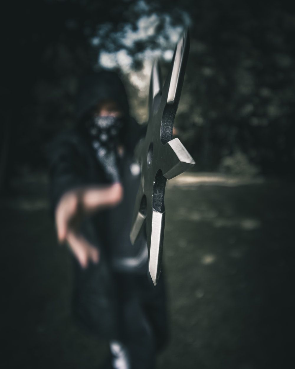 Ninja Picture [HD]. Download Free Image