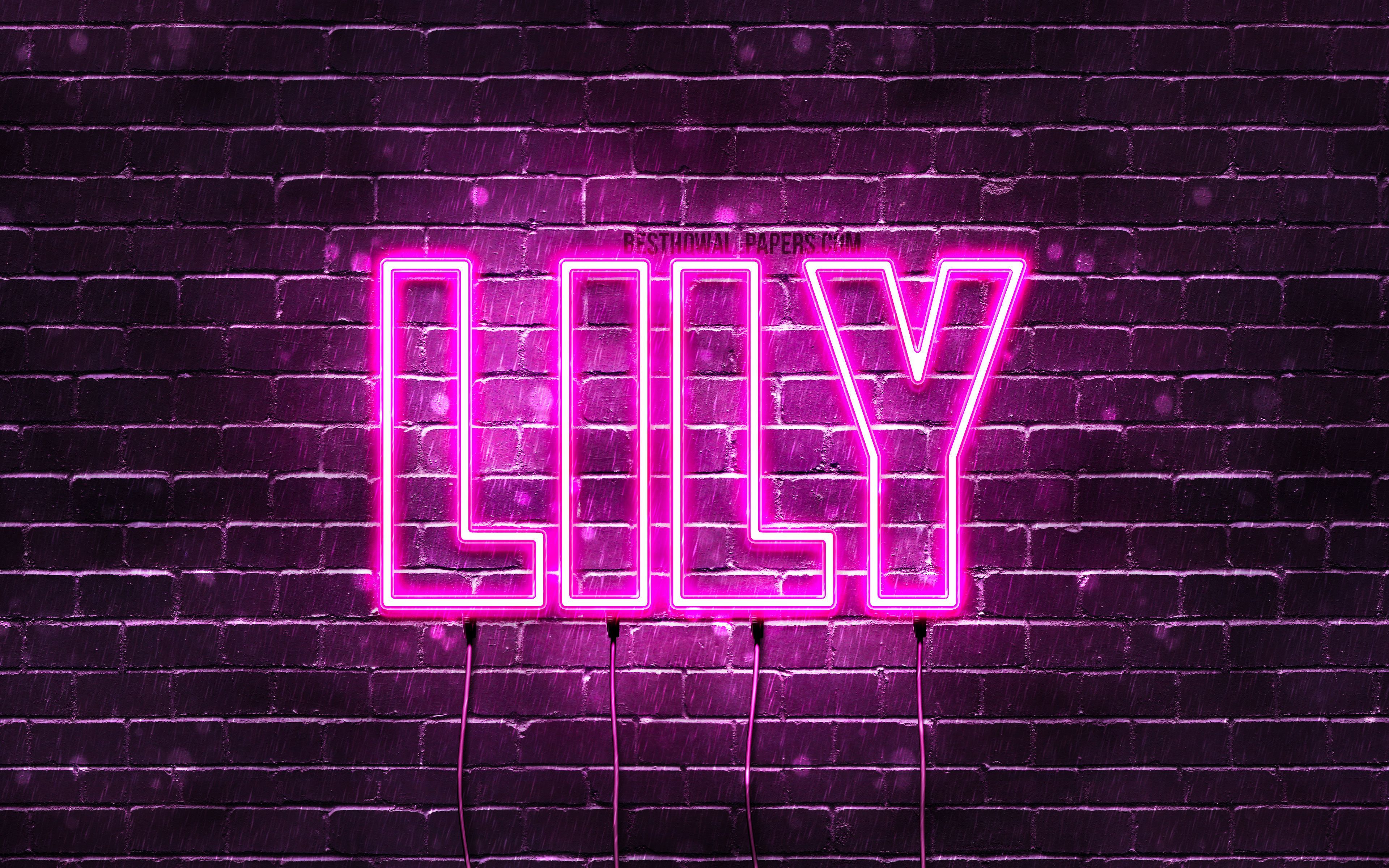 Lily, 4k, wallpaper with names, female names, Lily name, purple neon lights, horizontal text, picture with Lily name. Name wallpaper, Neon signs, Lily