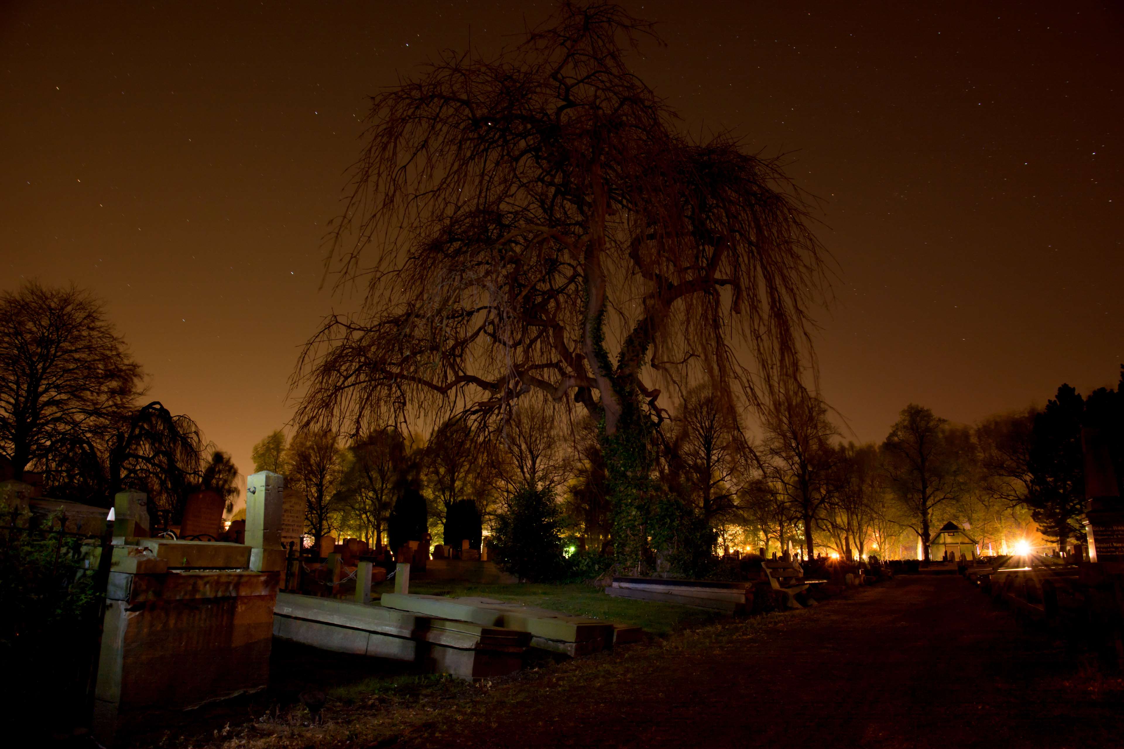 cemetery, dark, graveyard, night, spooky, sullen, tree 4k wallpaper