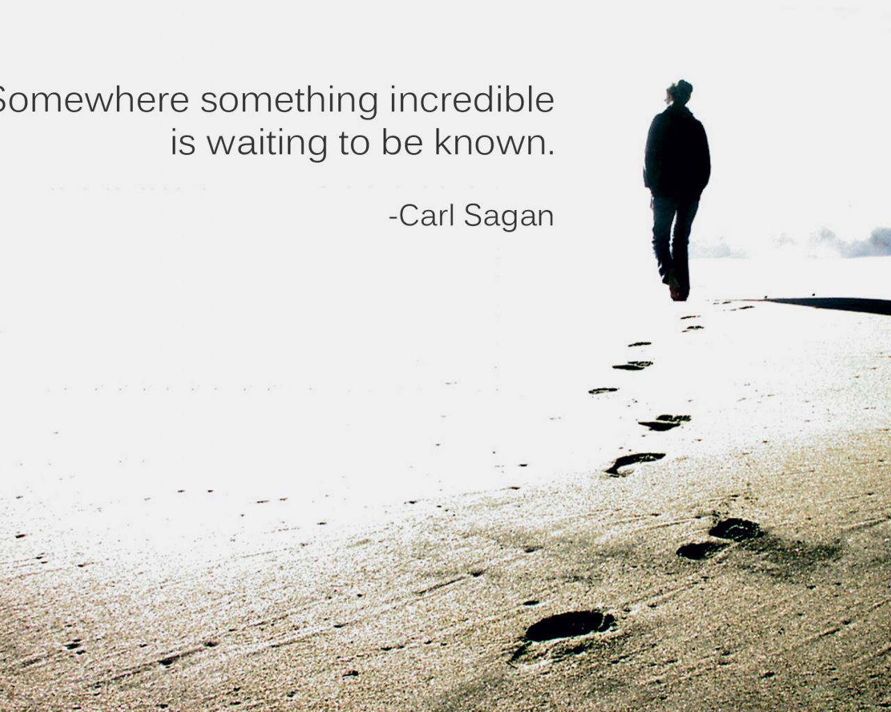Free download funny motivational women work short inspiration quotes carl sagan [1600x1200] for your Desktop, Mobile & Tablet. Explore Funny Work Quotes Wallpaper. HD Wallpaper Funny Quotes, Funny Wallpaper
