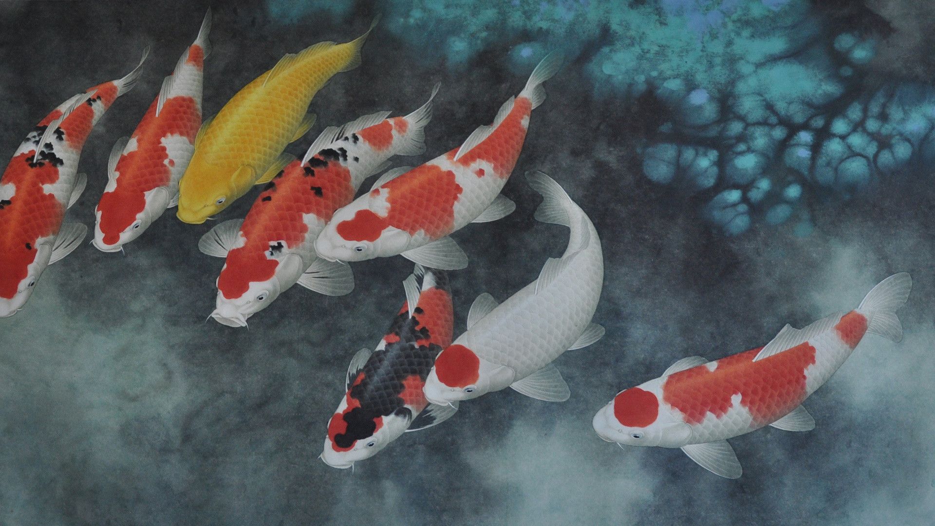 4k Koi Fish Wallpaper Spiritedmusepress Fish HD Wallpaper