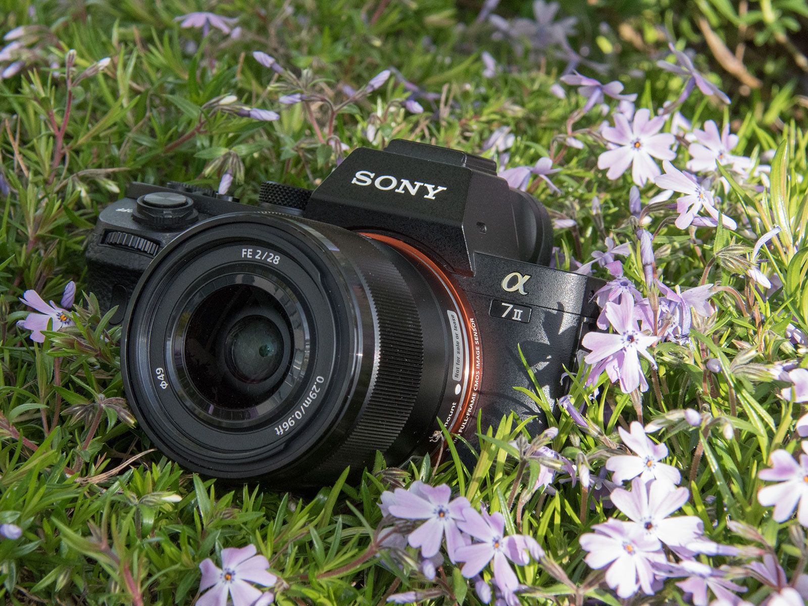 Sony a7 II gains faster focus for adapted lenses and uncompressed Raw: Digital Photography Review