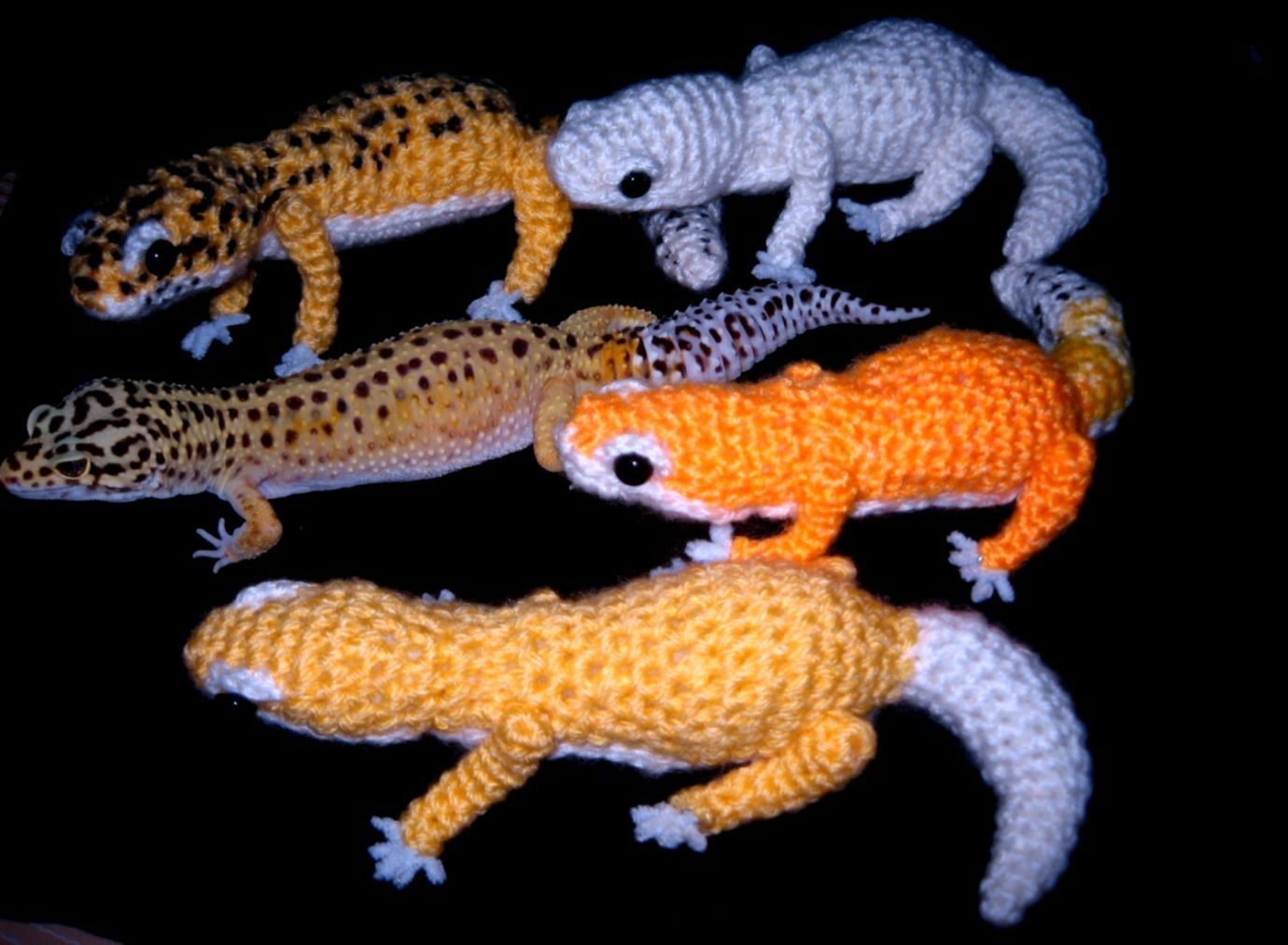 Cute Baby Leopard Gecko