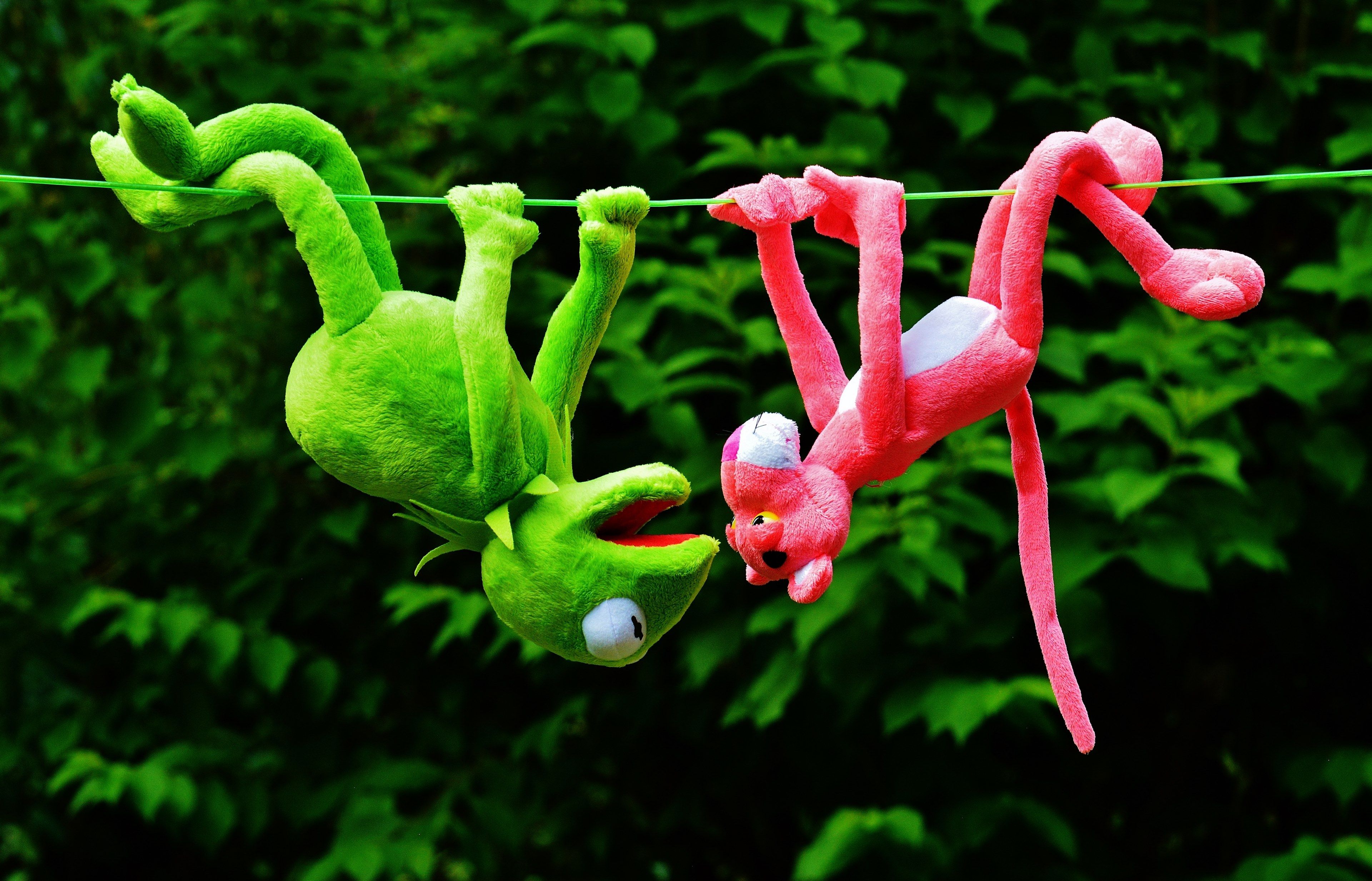 Wallpaper / hang out plush toys kermit the pink panther toys 4k wallpaper
